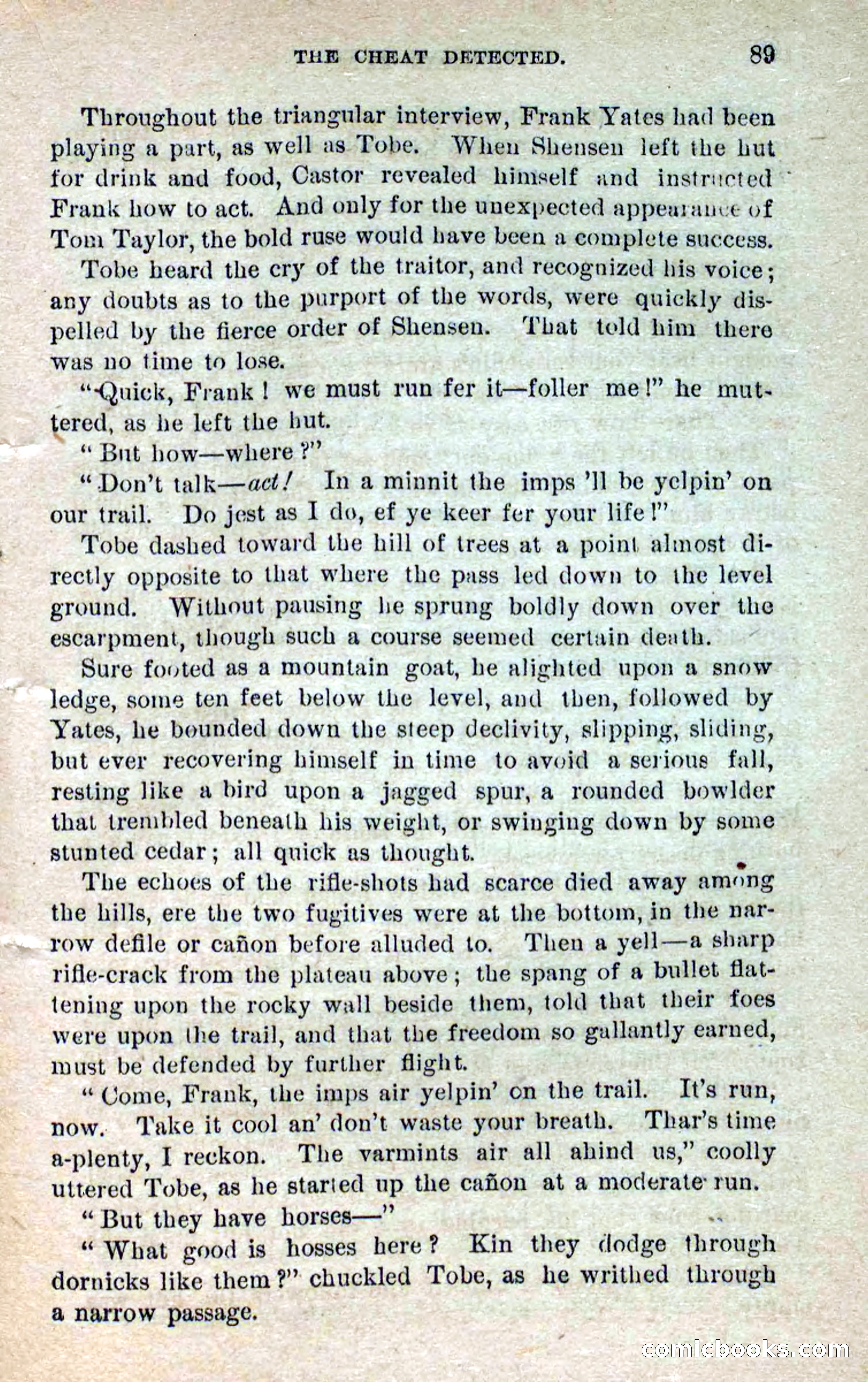 Beadle's Dime Novels No. 264: Mountain Kate — page 85 of 100