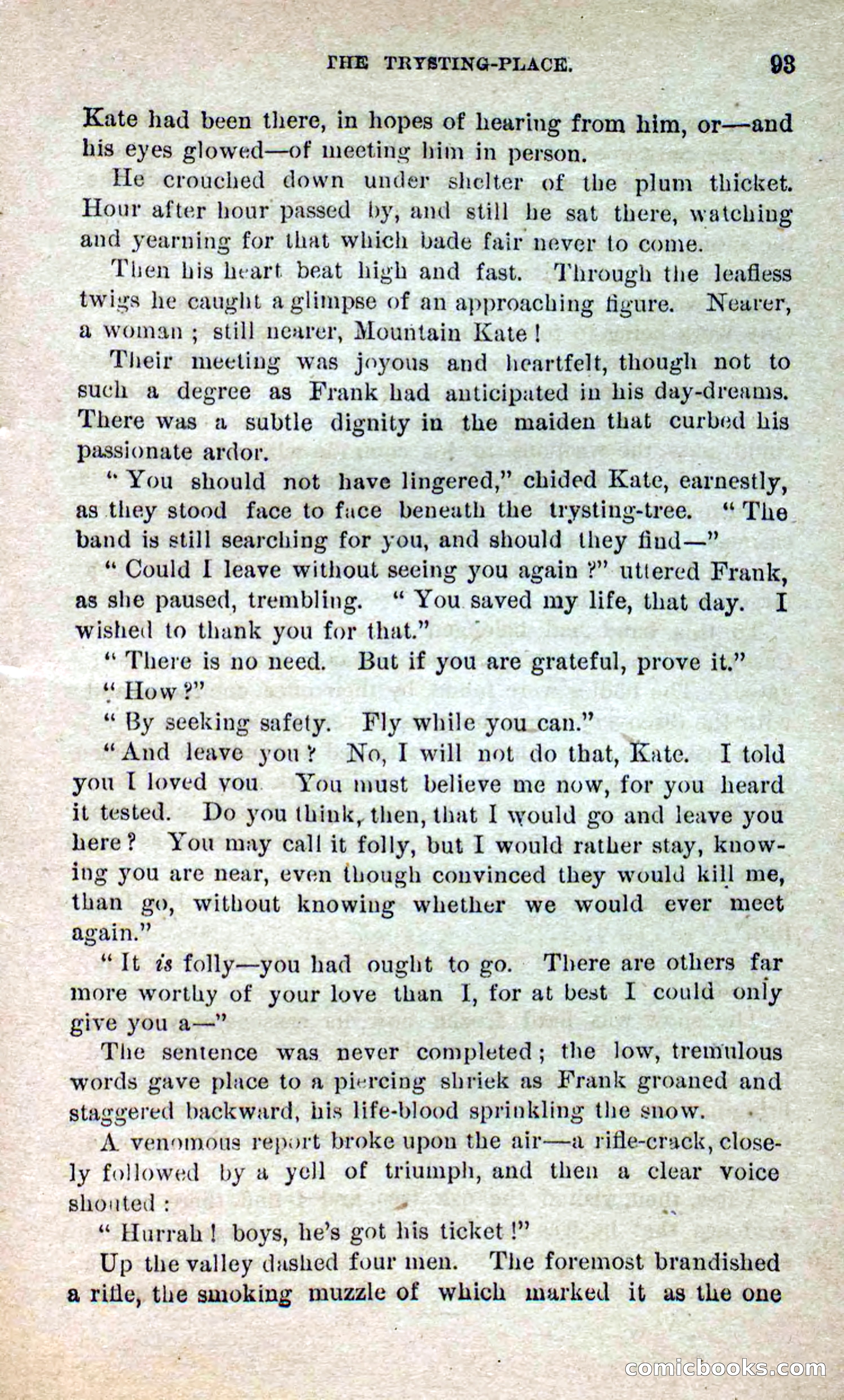 Beadle's Dime Novels No. 264: Mountain Kate — page 89 of 100