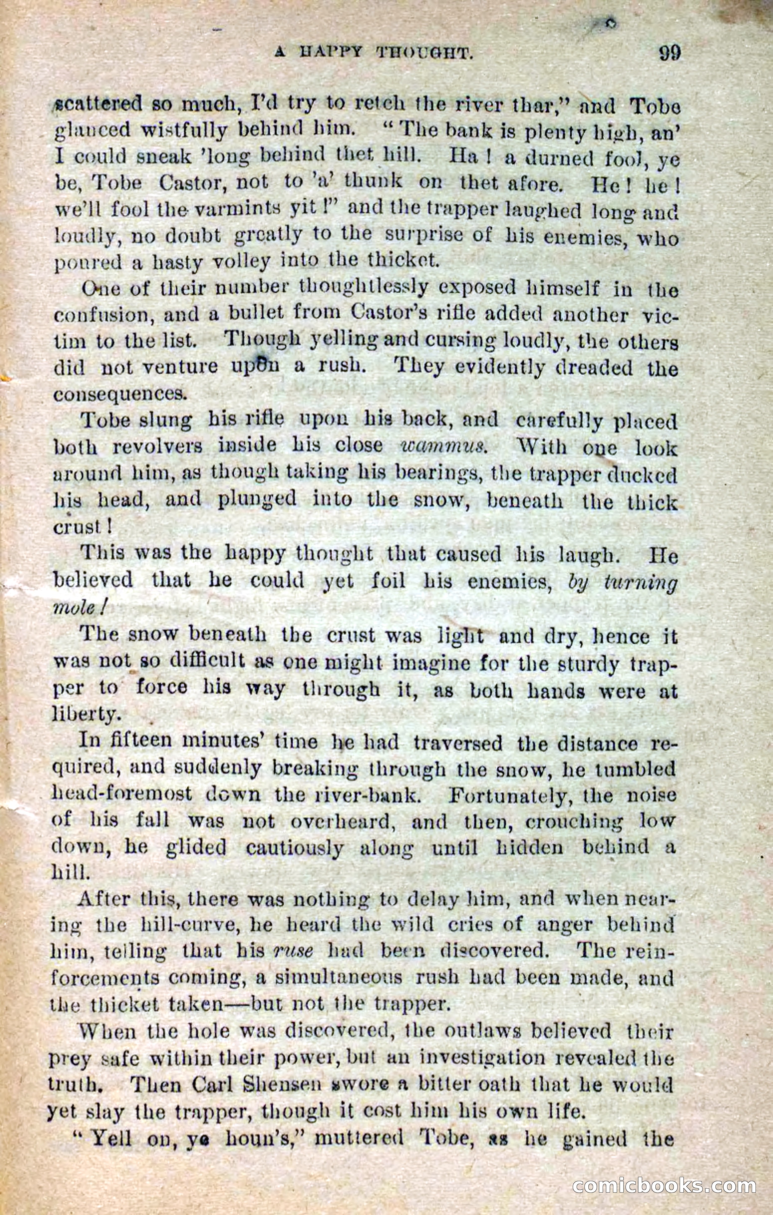 Beadle's Dime Novels No. 264: Mountain Kate — page 95 of 100