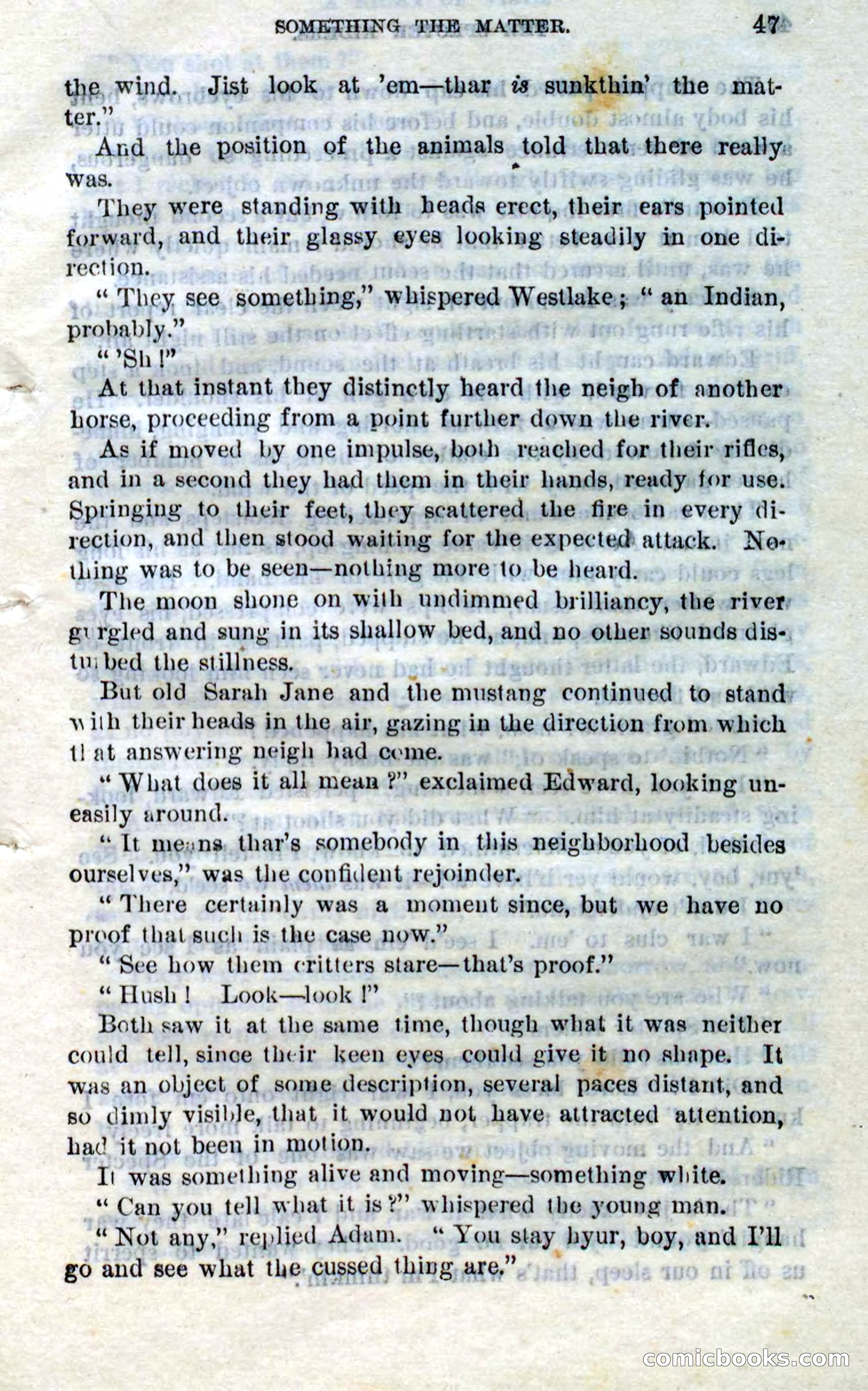 Beadle's Dime Novels No. 268: The Specter Riders — page 45 of 100