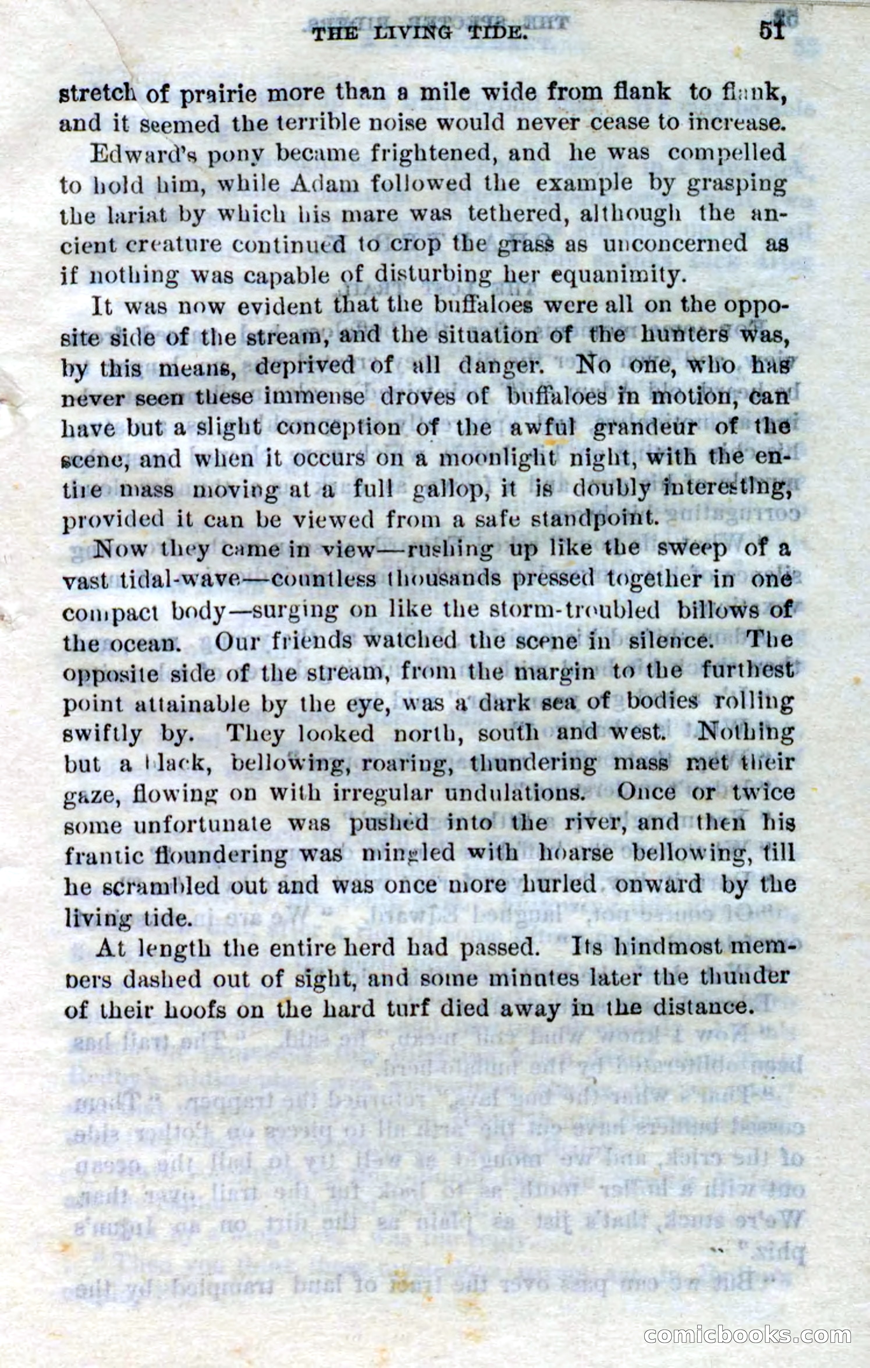 Beadle's Dime Novels No. 268: The Specter Riders — page 49 of 100