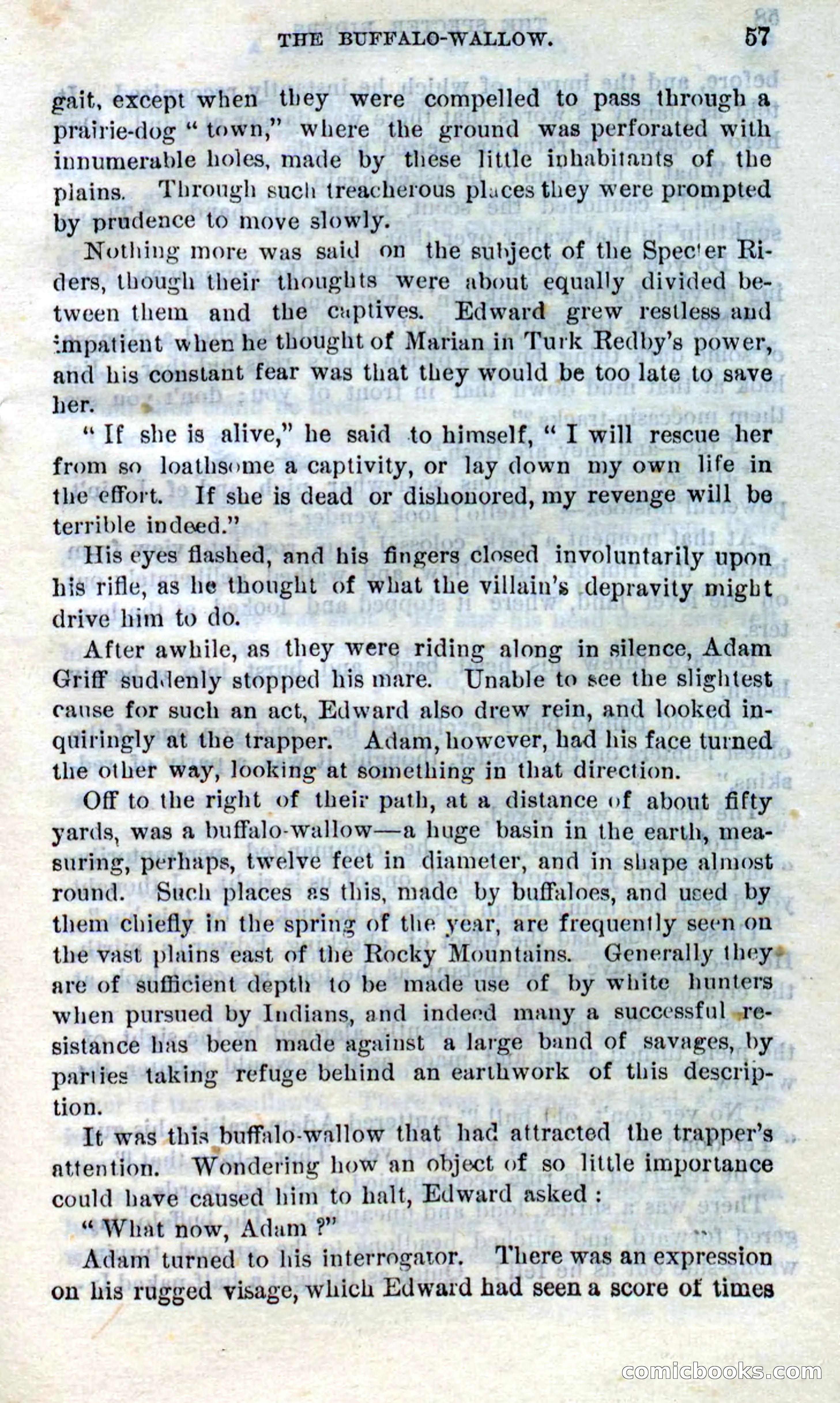 Beadle's Dime Novels No. 268: The Specter Riders — page 55 of 100