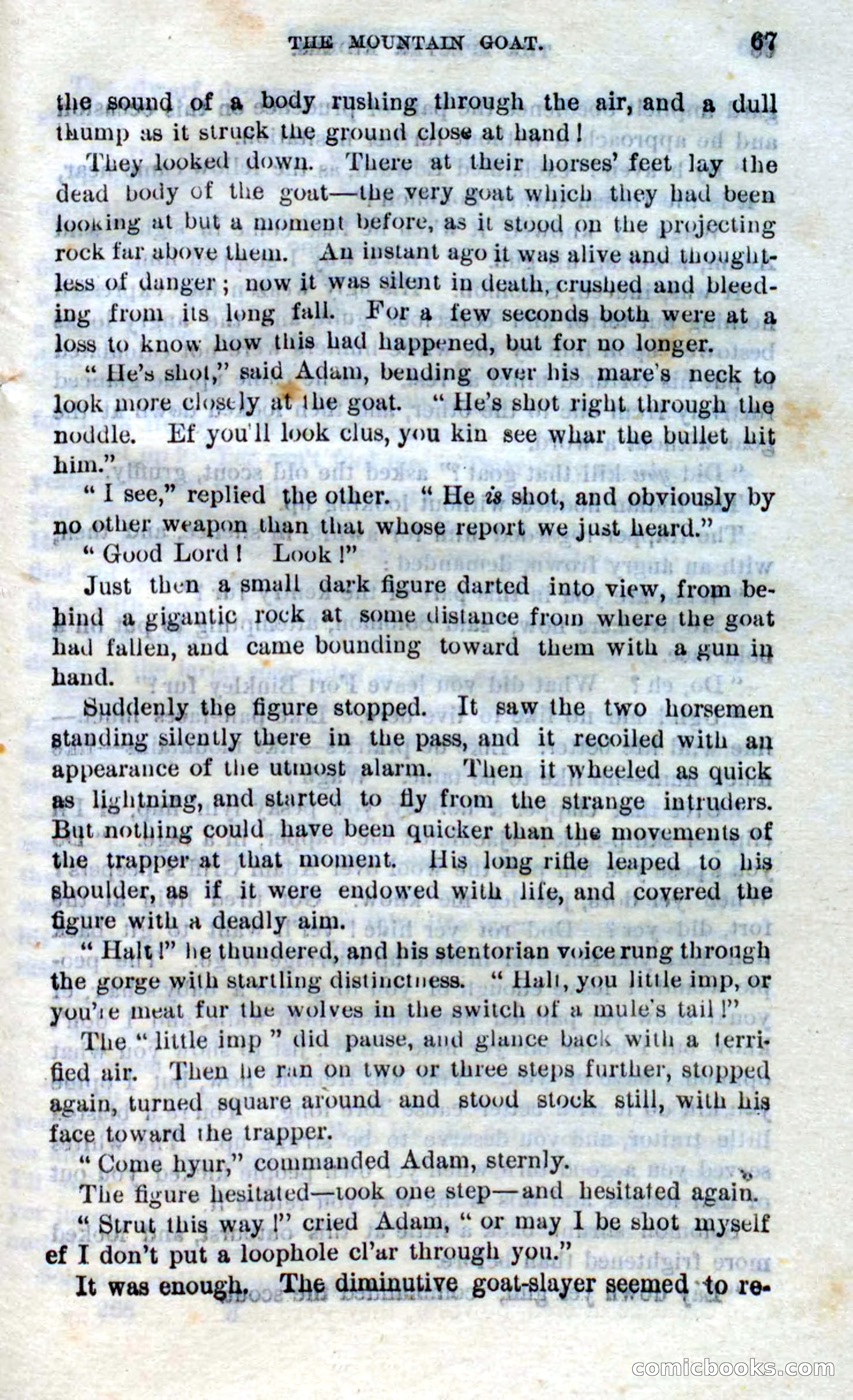 Beadle's Dime Novels No. 268: The Specter Riders — page 65 of 100