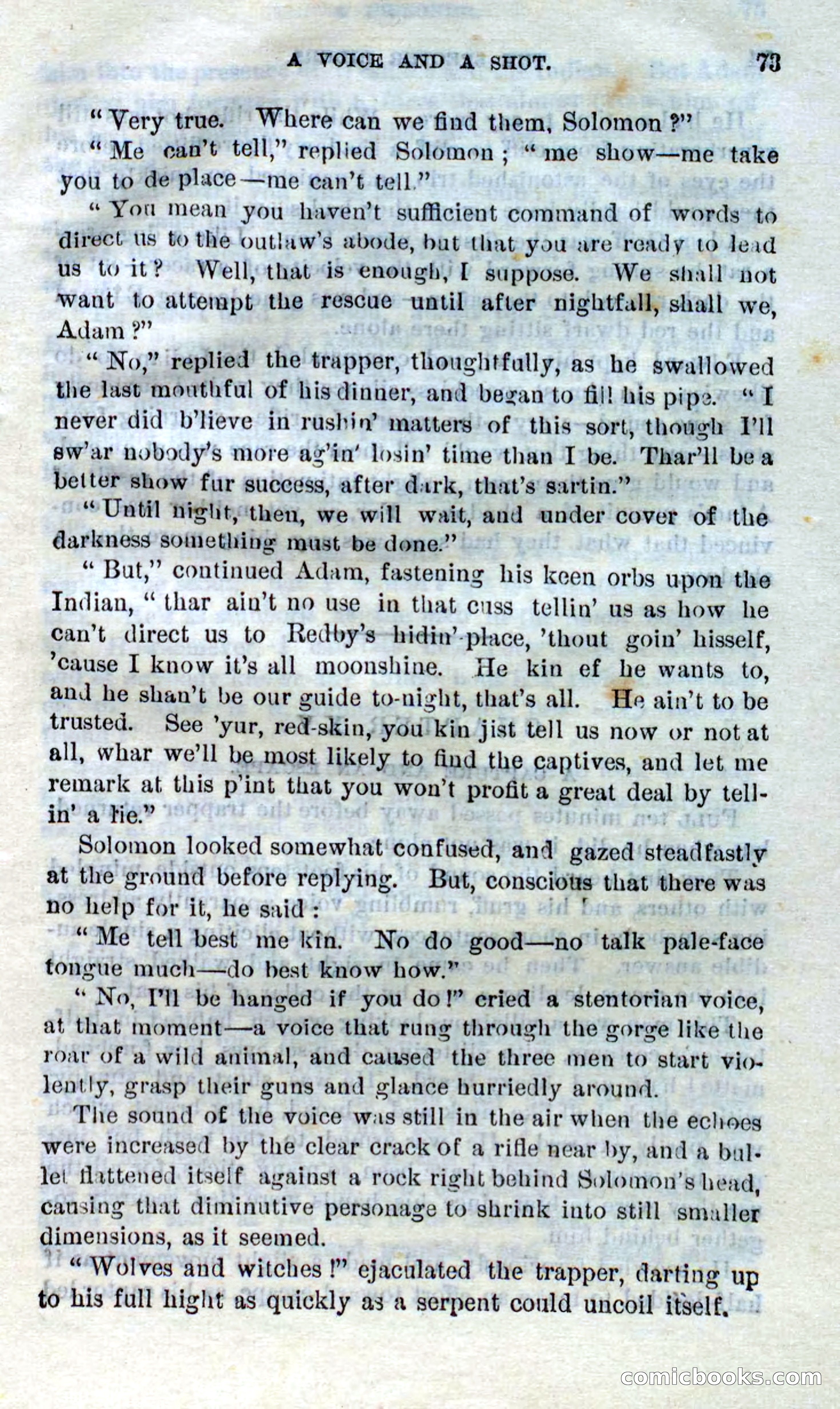 Beadle's Dime Novels No. 268: The Specter Riders — page 71 of 100