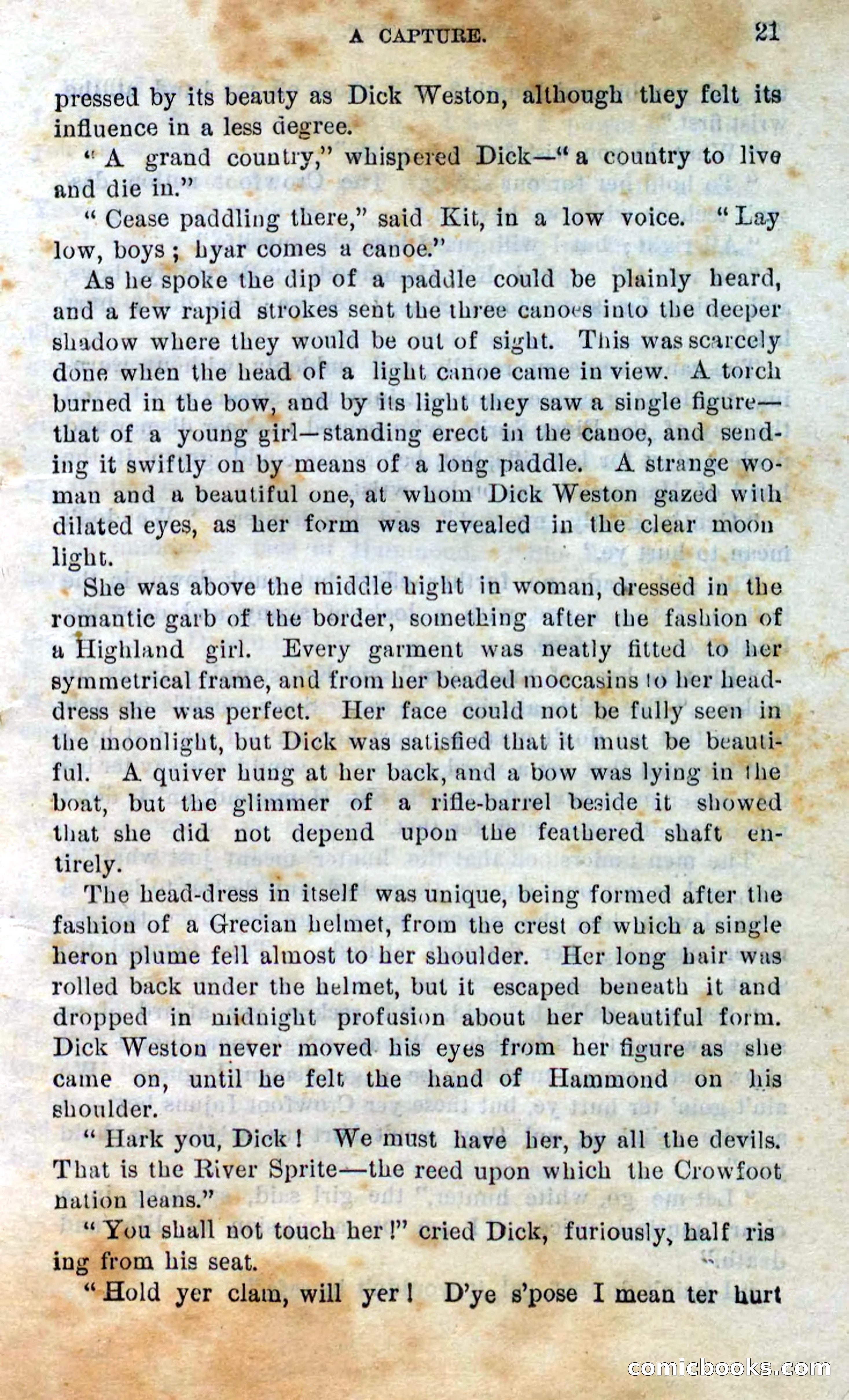 Beadle's Dime Novels No. 295 — page 19 of 100