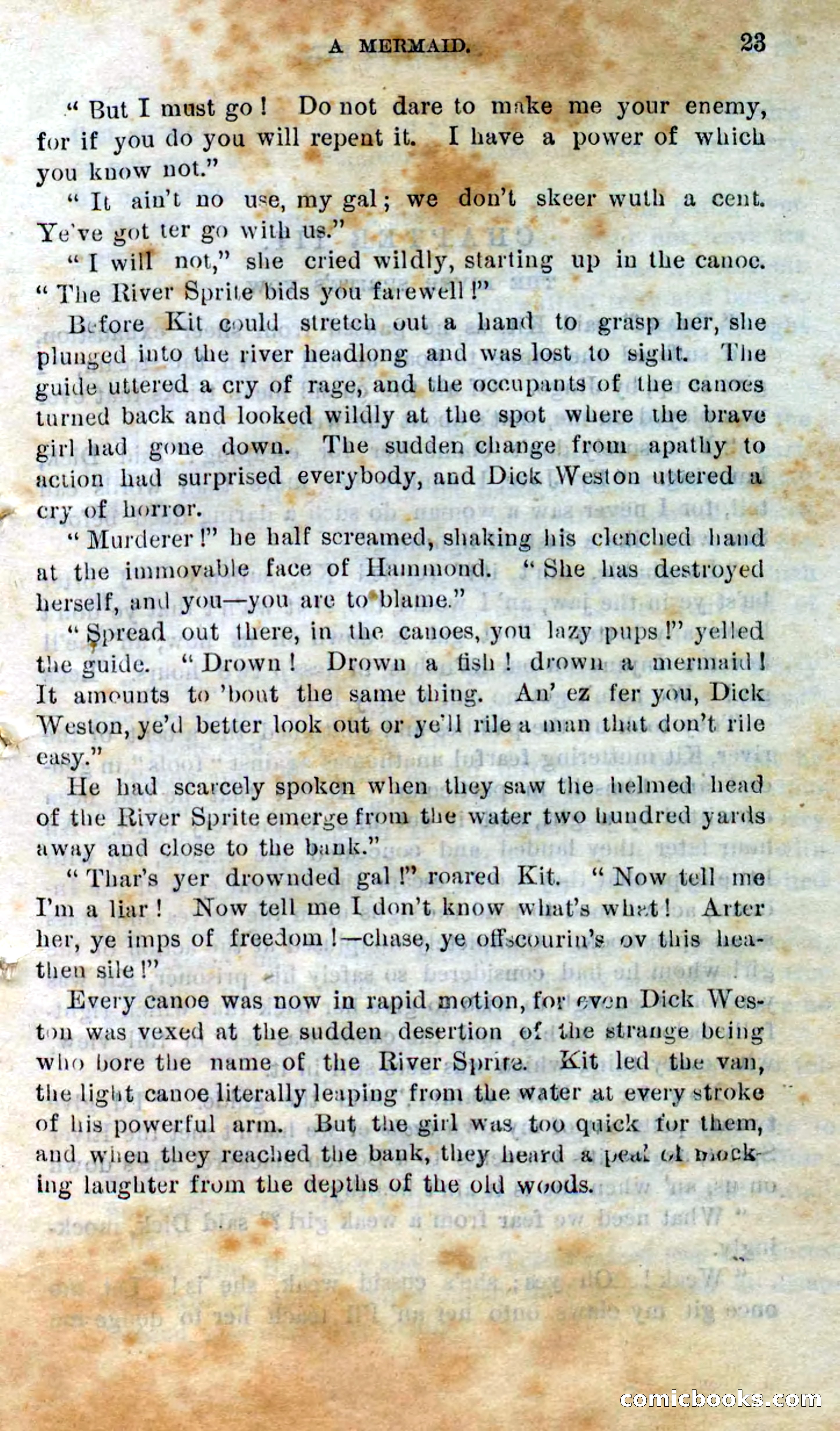 Beadle's Dime Novels No. 295 — page 21 of 100