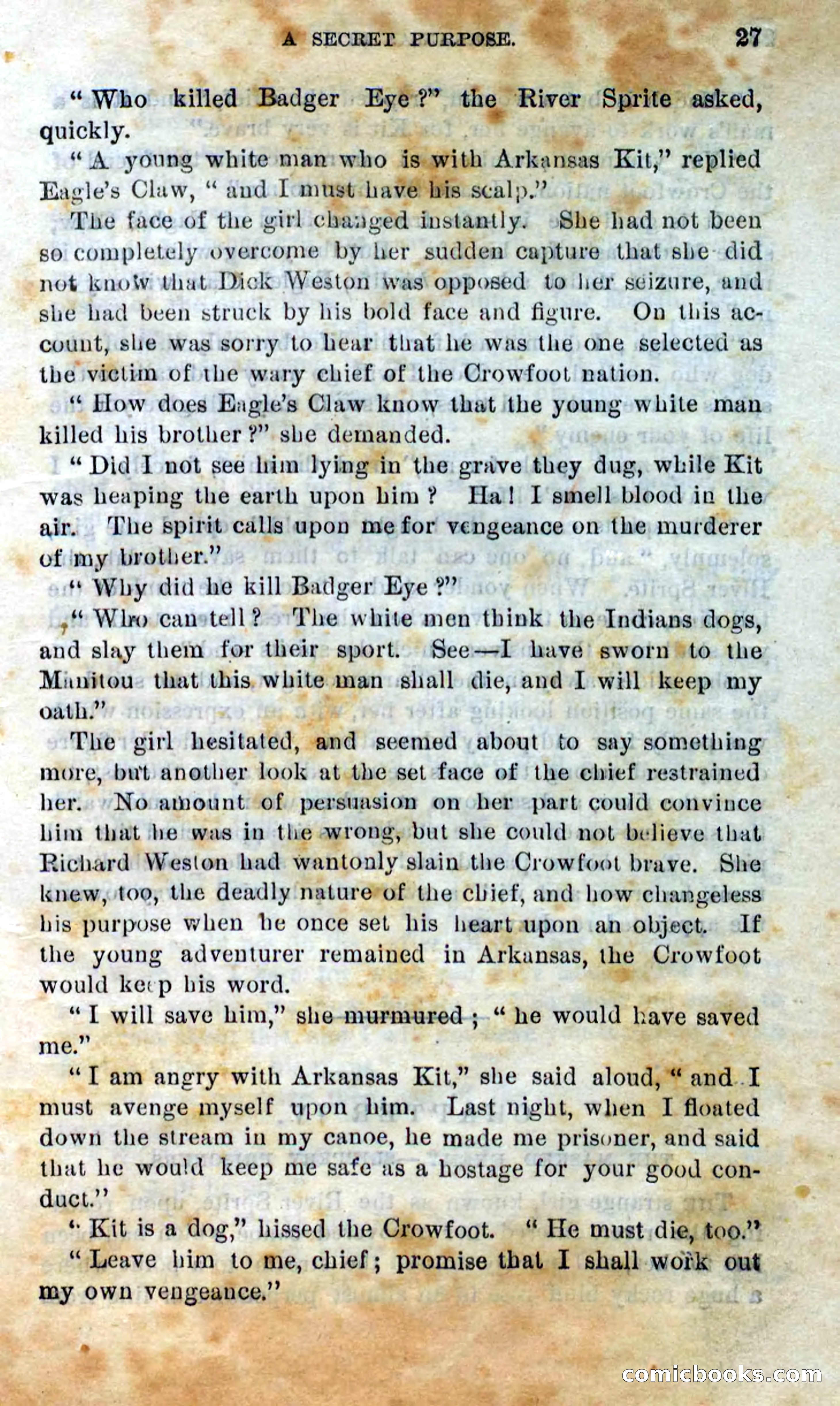 Beadle's Dime Novels No. 295 — page 25 of 100
