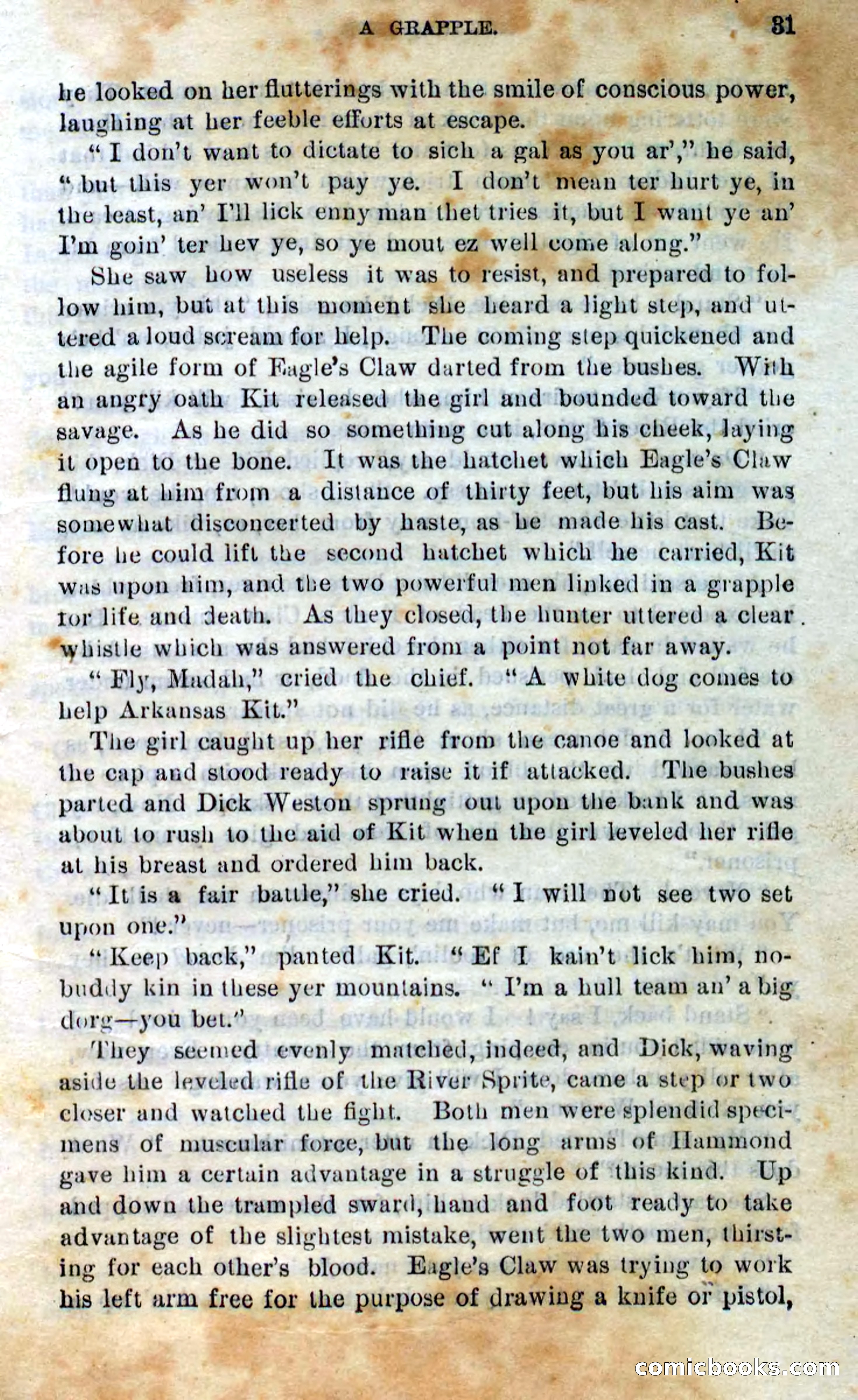 Beadle's Dime Novels No. 295 — page 29 of 100