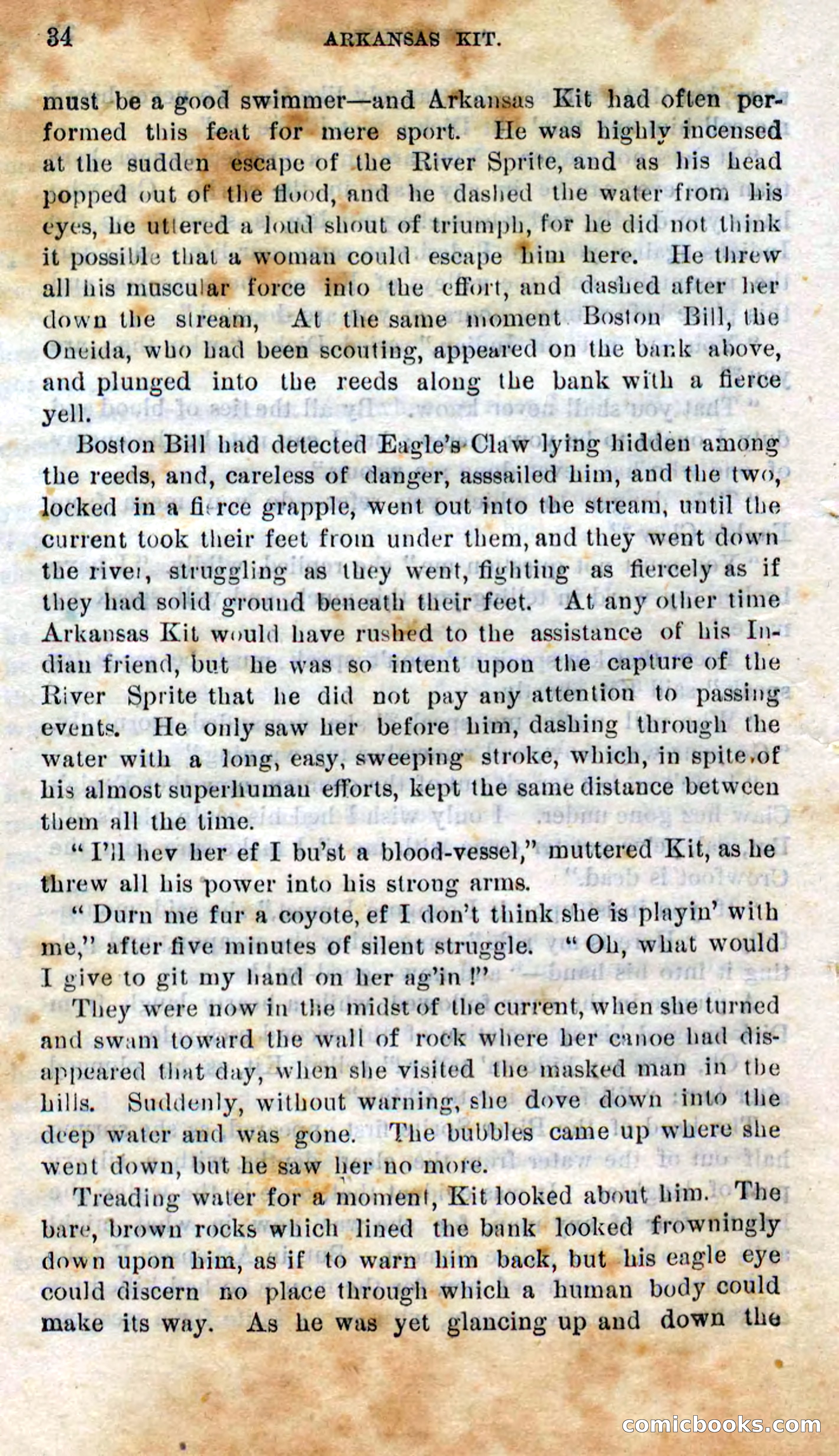 Beadle's Dime Novels No. 295 — page 32 of 100