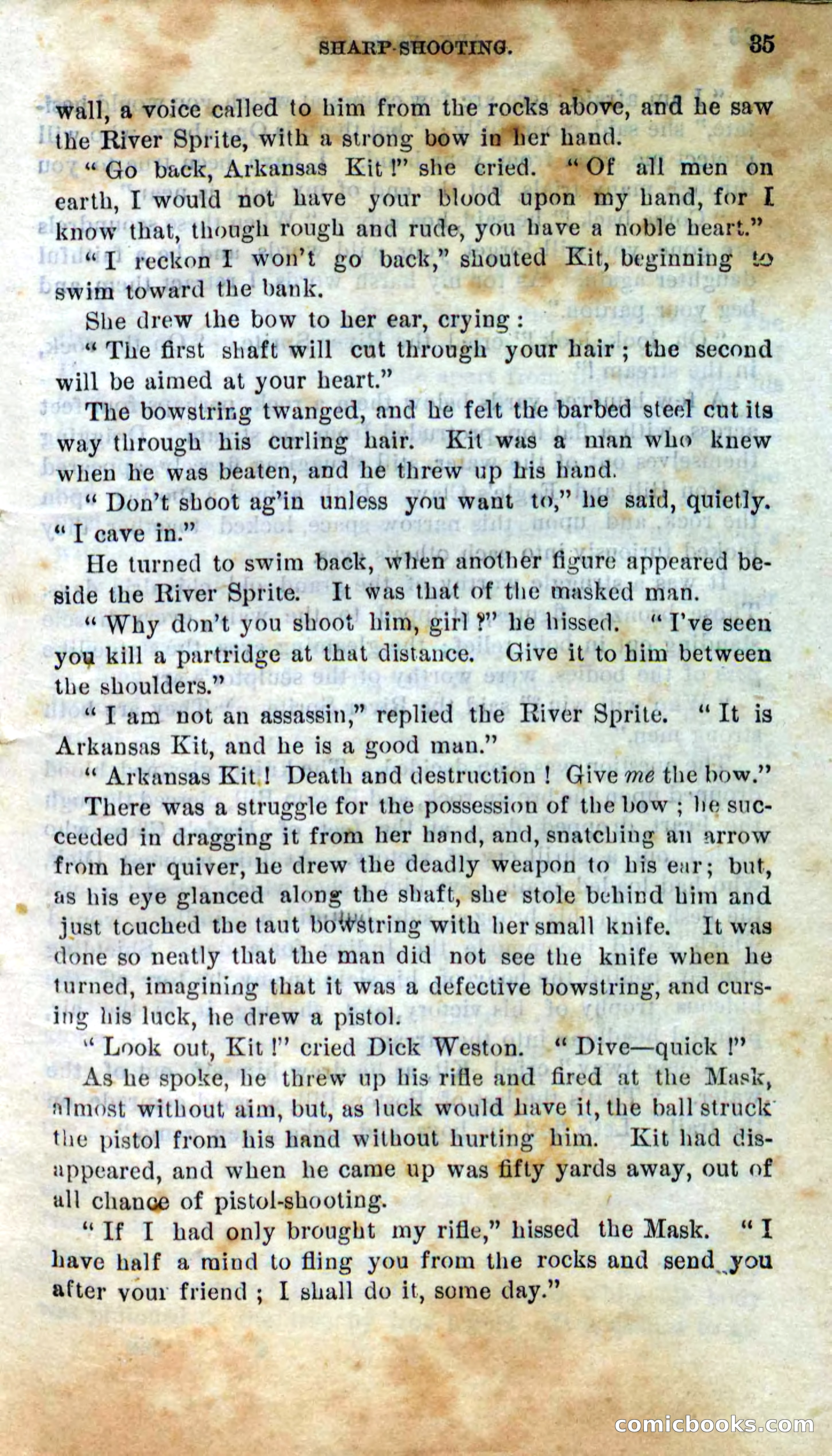 Beadle's Dime Novels No. 295 — page 33 of 100