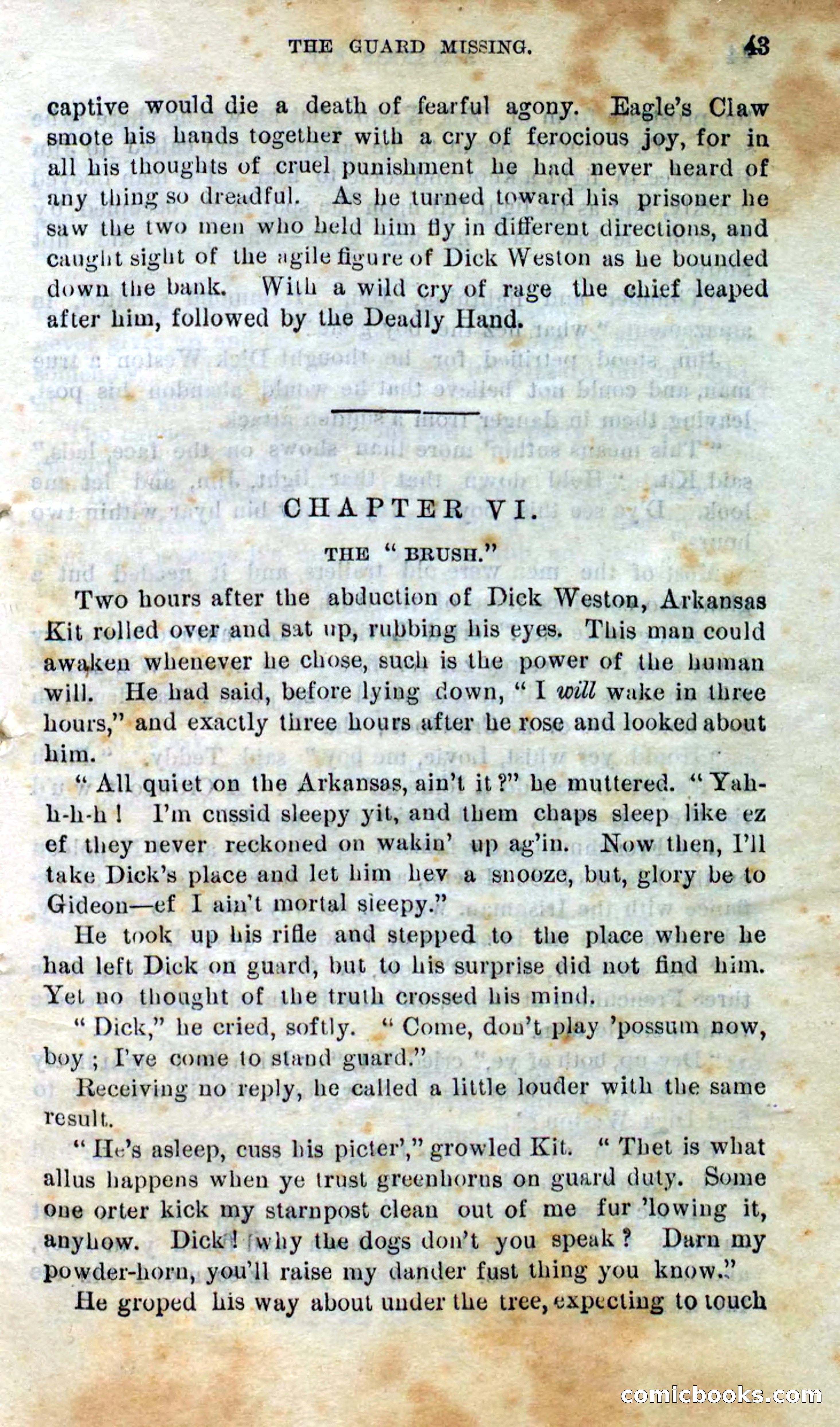 Beadle's Dime Novels No. 295 — page 41 of 100