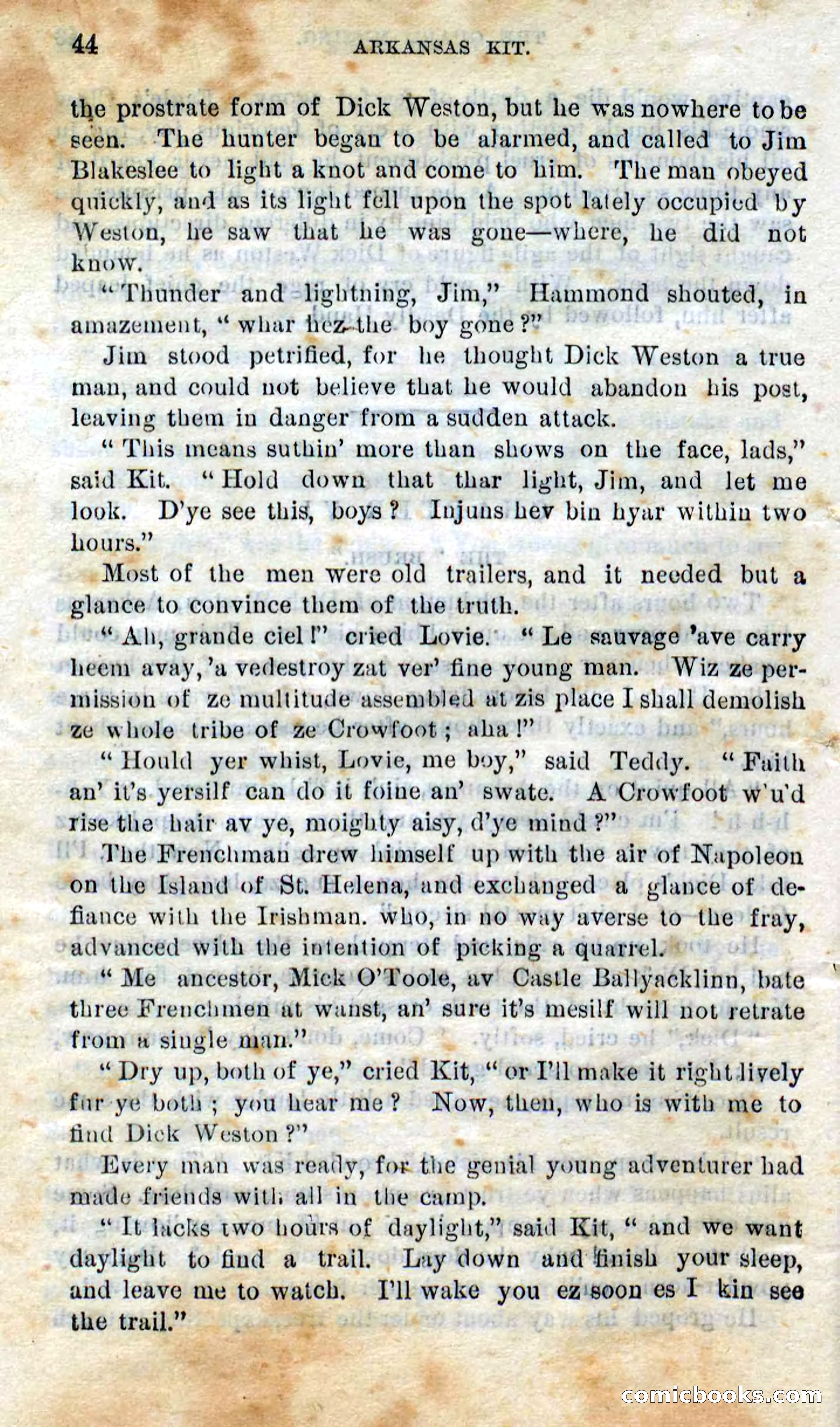 Beadle's Dime Novels No. 295 — page 42 of 100