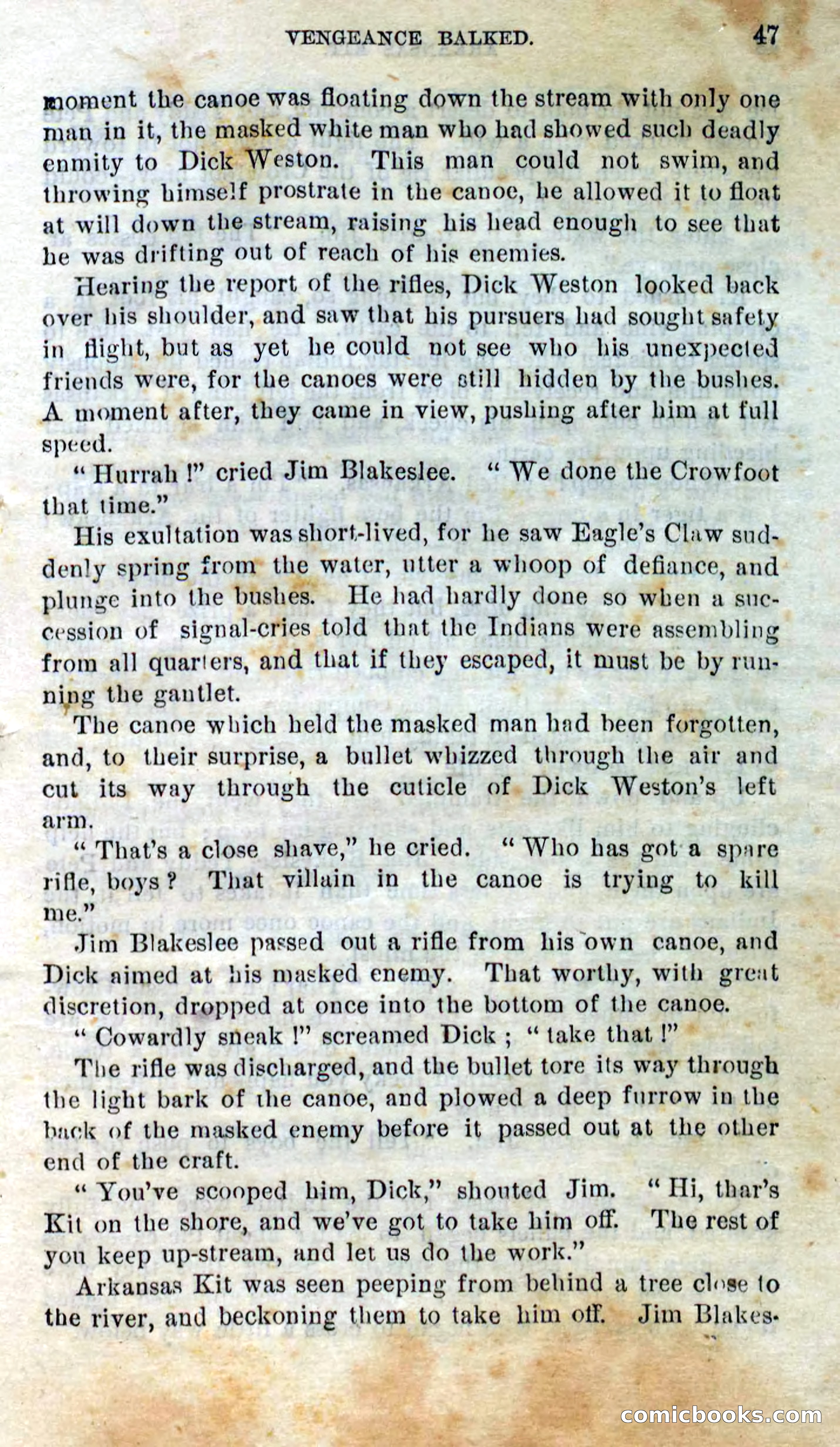 Beadle's Dime Novels No. 295 — page 45 of 100