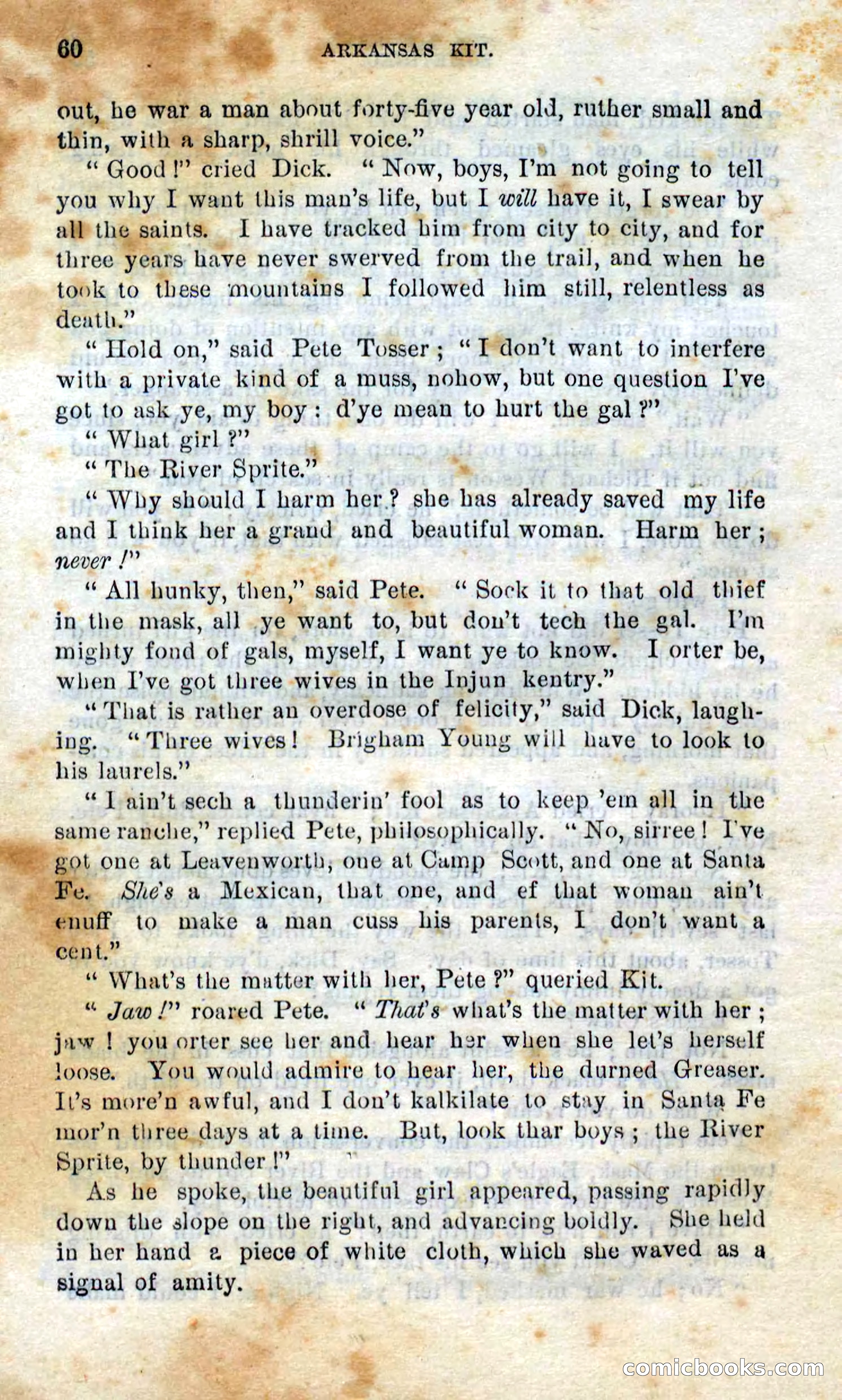 Beadle's Dime Novels No. 295 — page 58 of 100