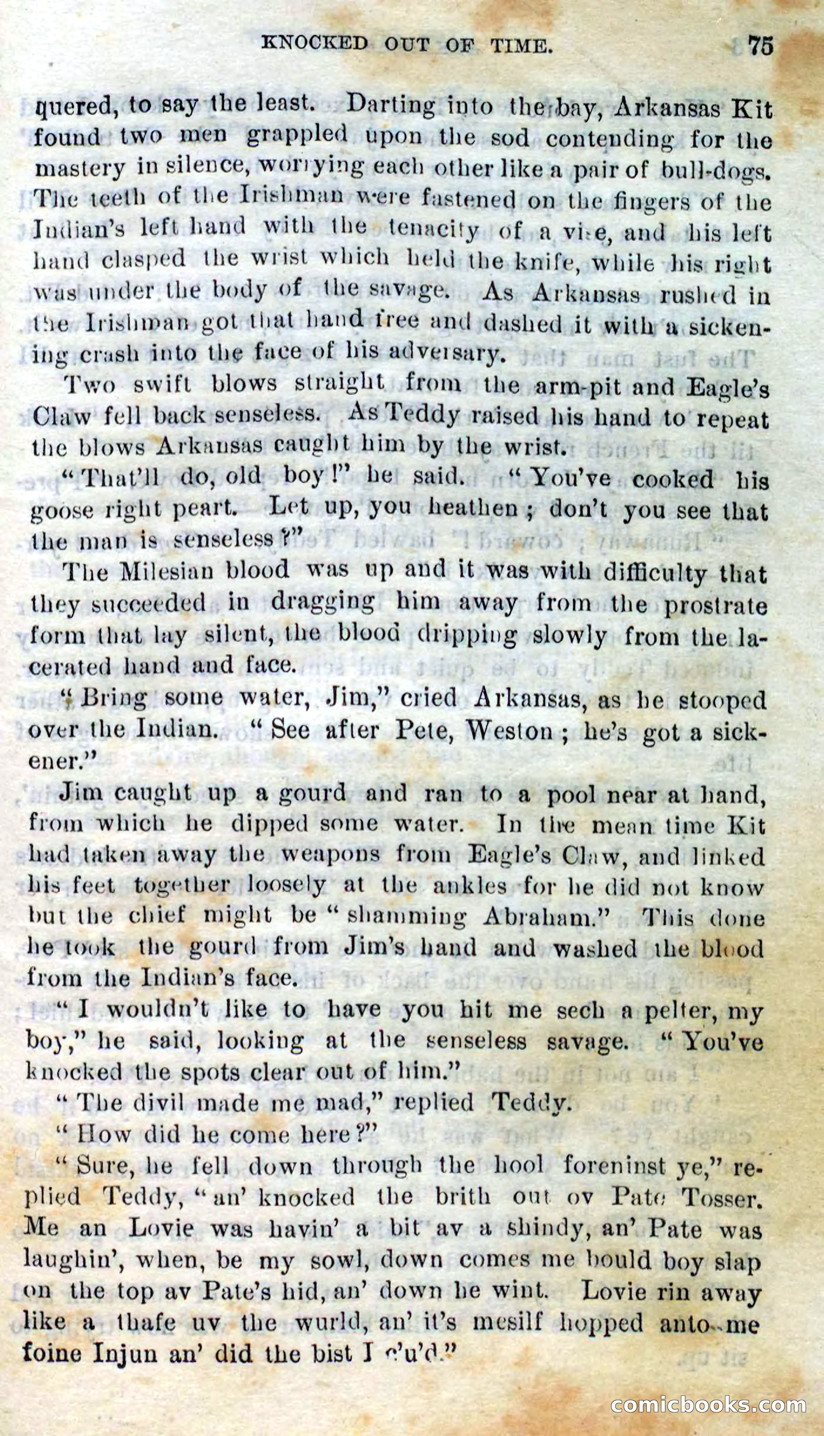 Beadle's Dime Novels No. 295 — page 73 of 100