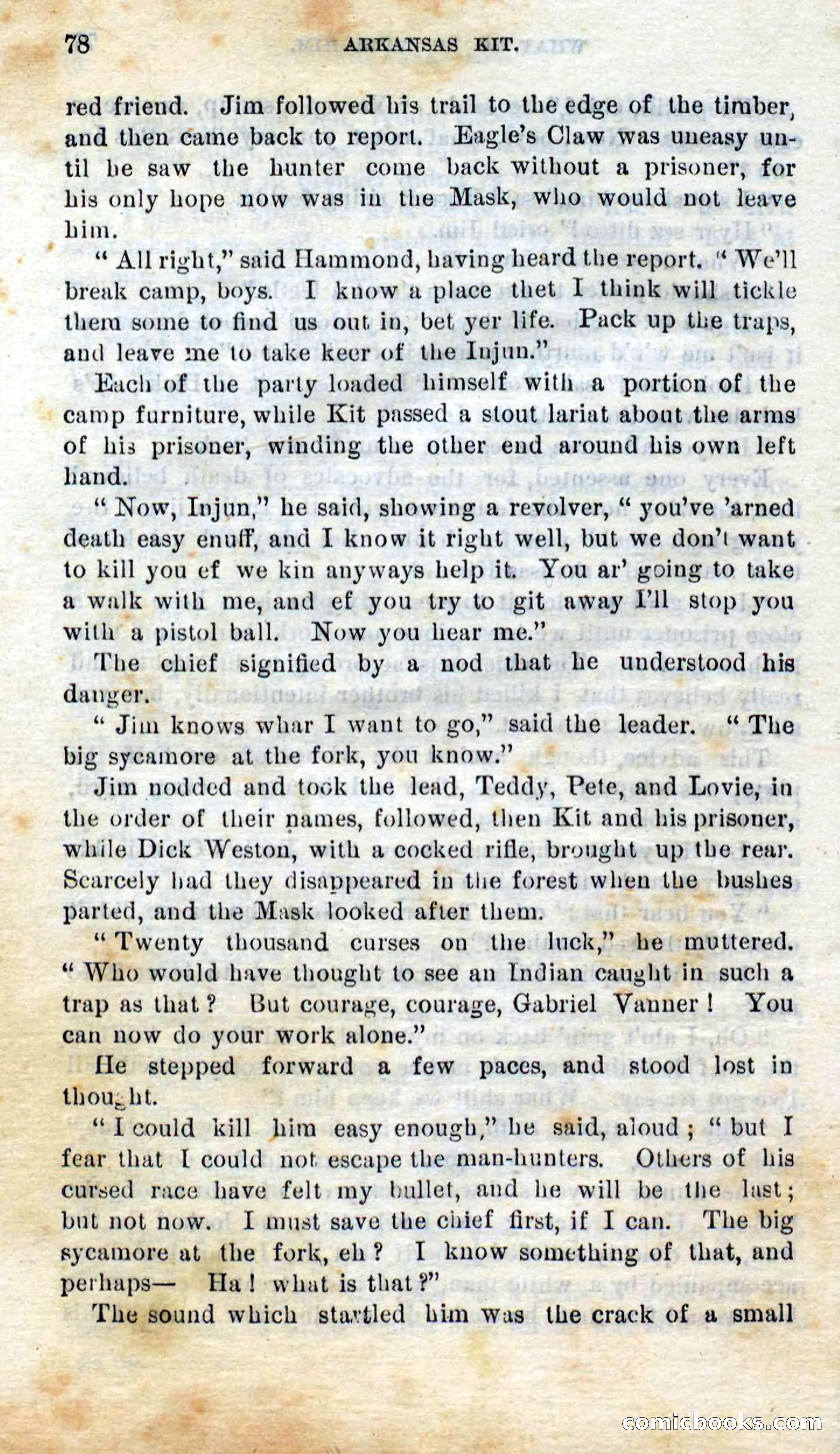 Beadle's Dime Novels No. 295 — page 76 of 100