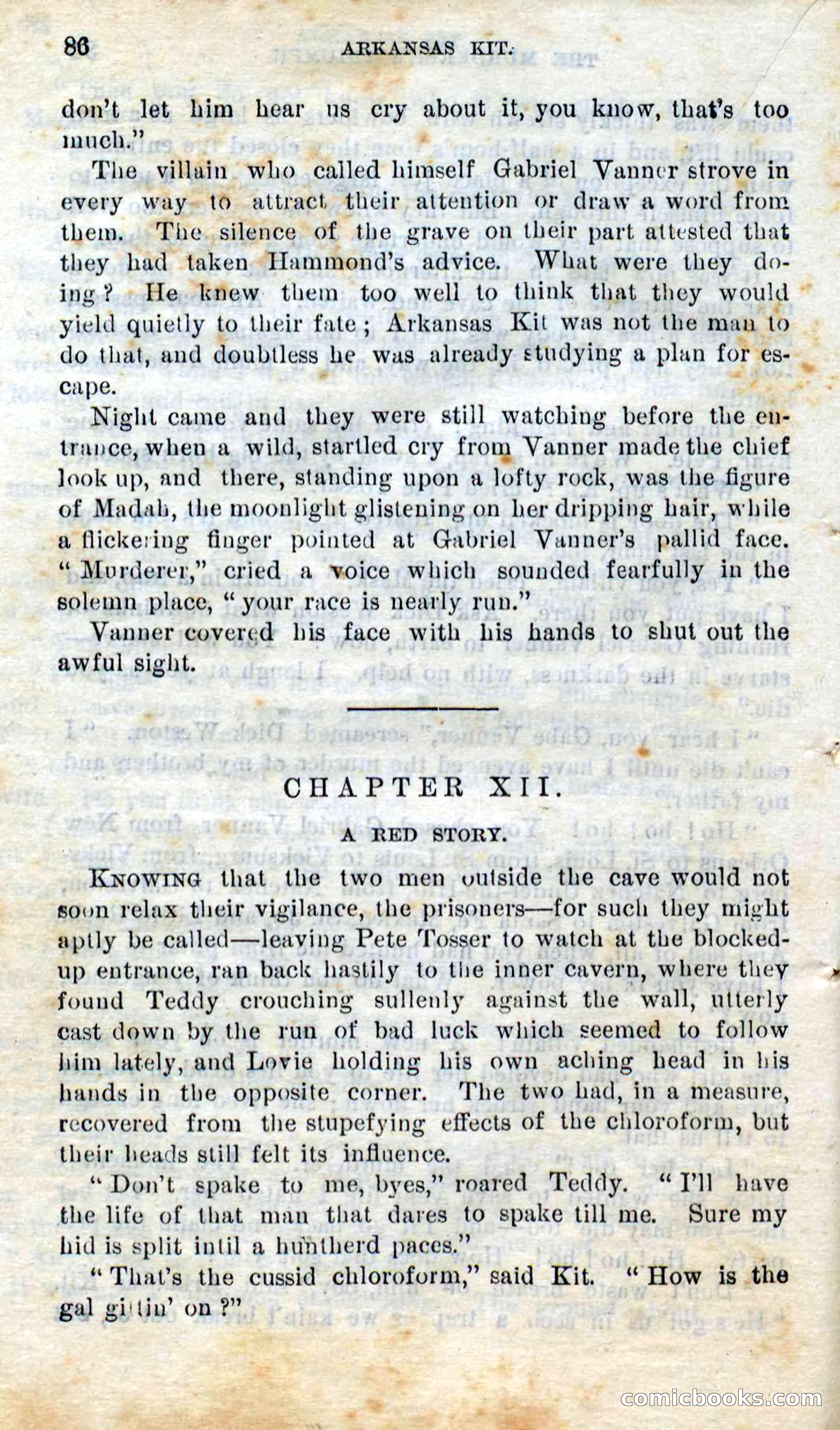 Beadle's Dime Novels No. 295 — page 84 of 100