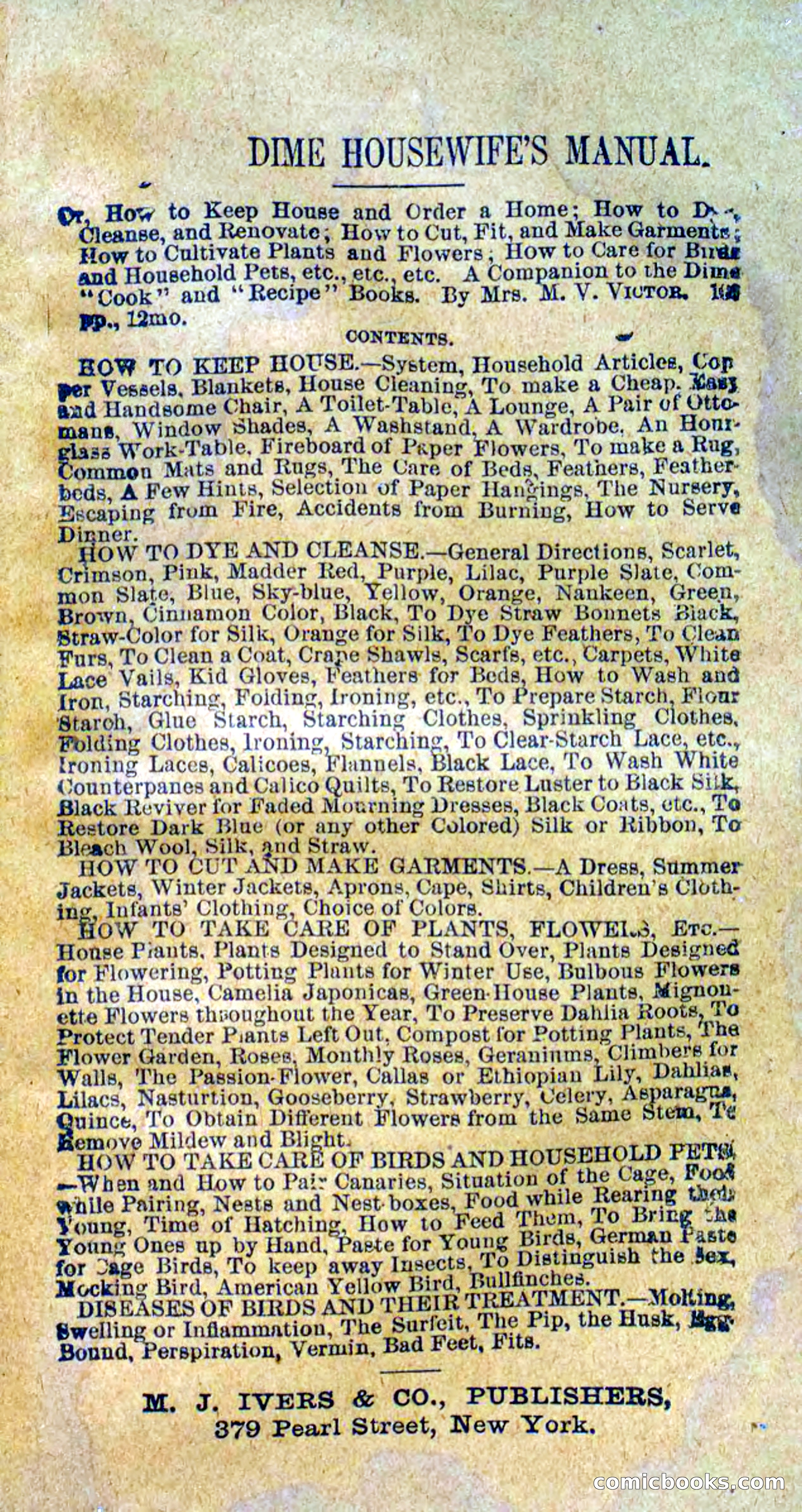 Beadle's Dime Novels No. 295 — page 99 of 100