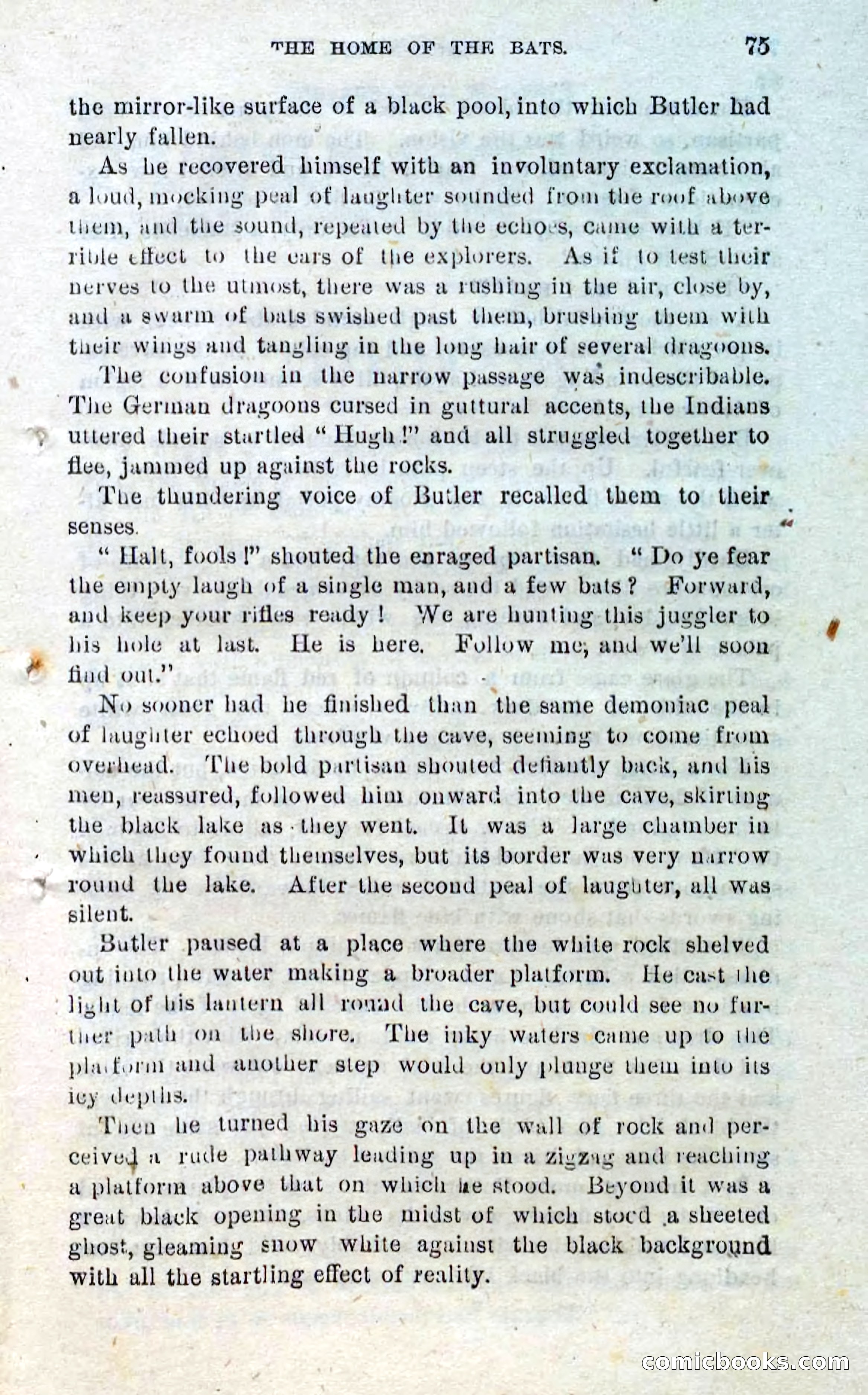 Beadle's Dime Novels No. 297: Black Nick — page 73 of 100