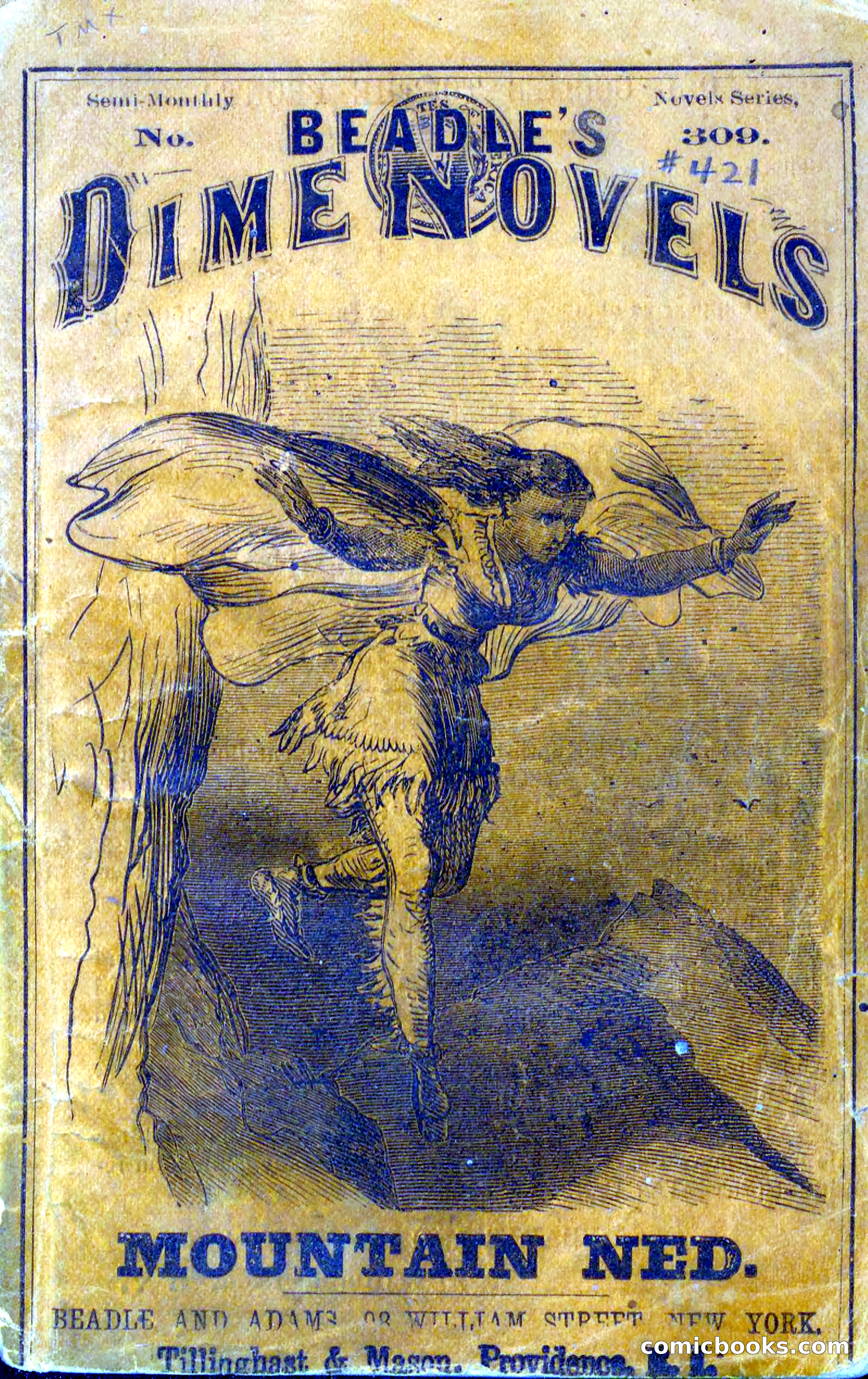 Beadle's Dime Novels No. 309: Mountain Ned — page 1 of 100