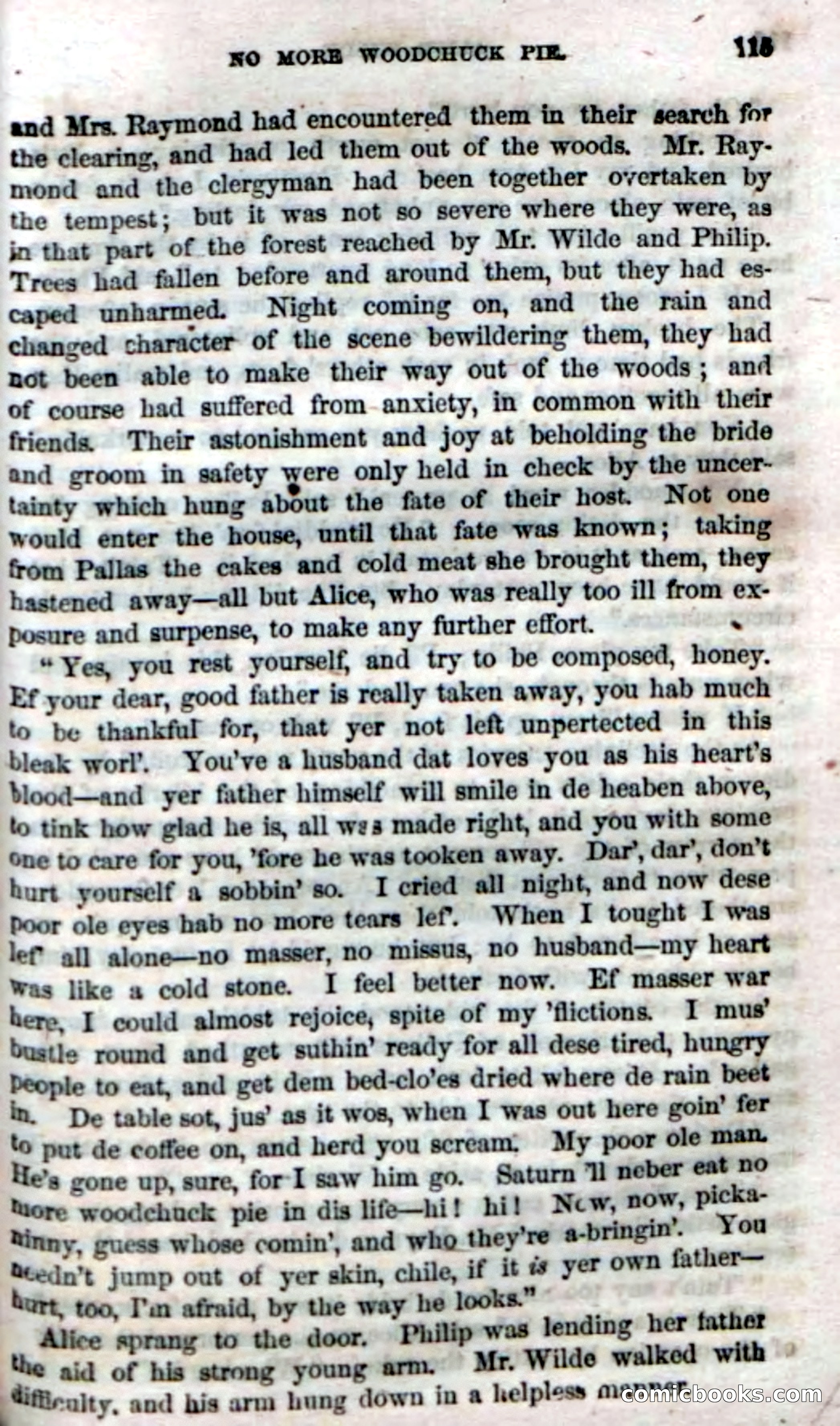 Beadle's Dime Novels No. 4 — page 119 of 128