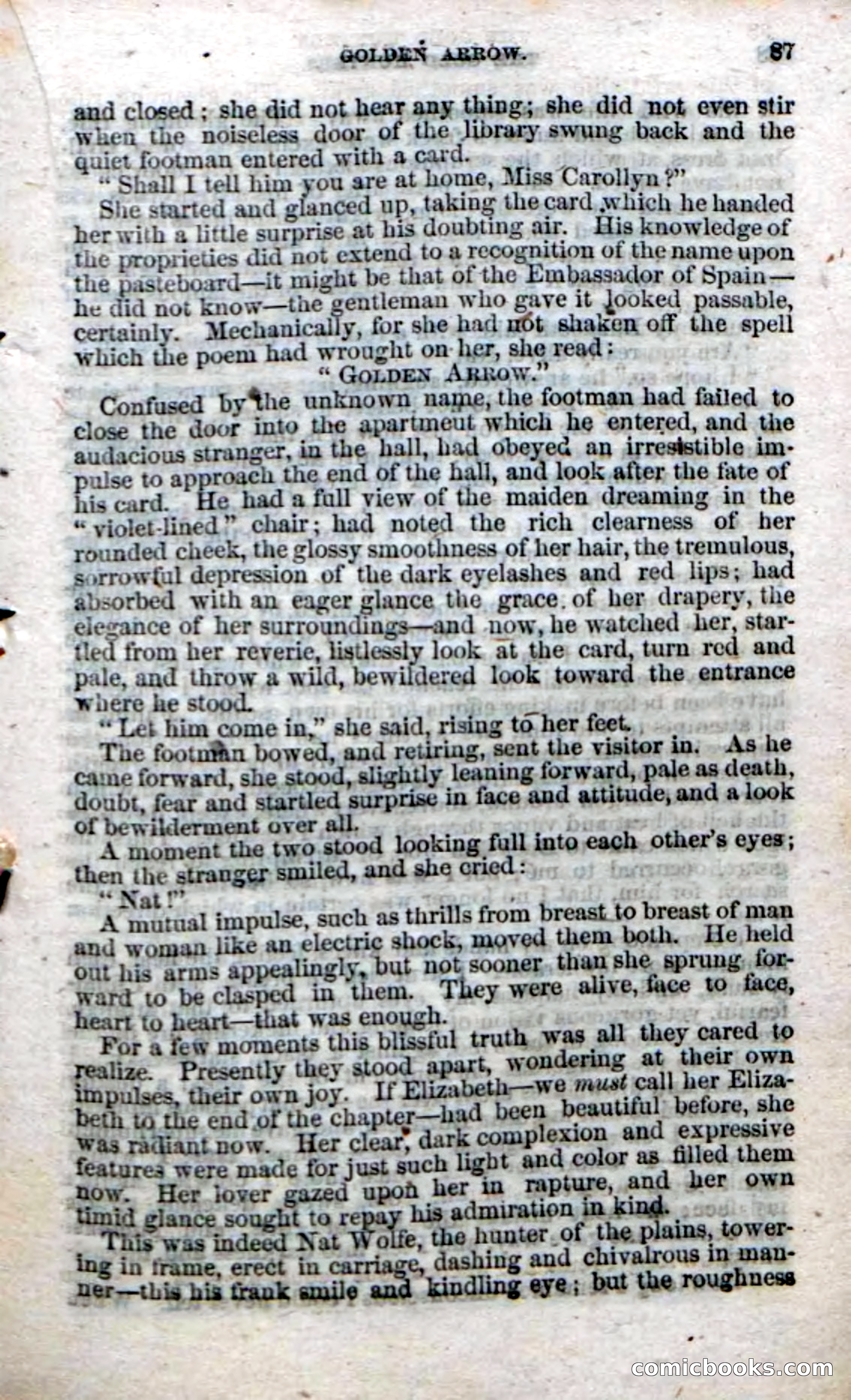 Beadle's Dime Novels No. 49: The Gold Hunters — page 85 of 100