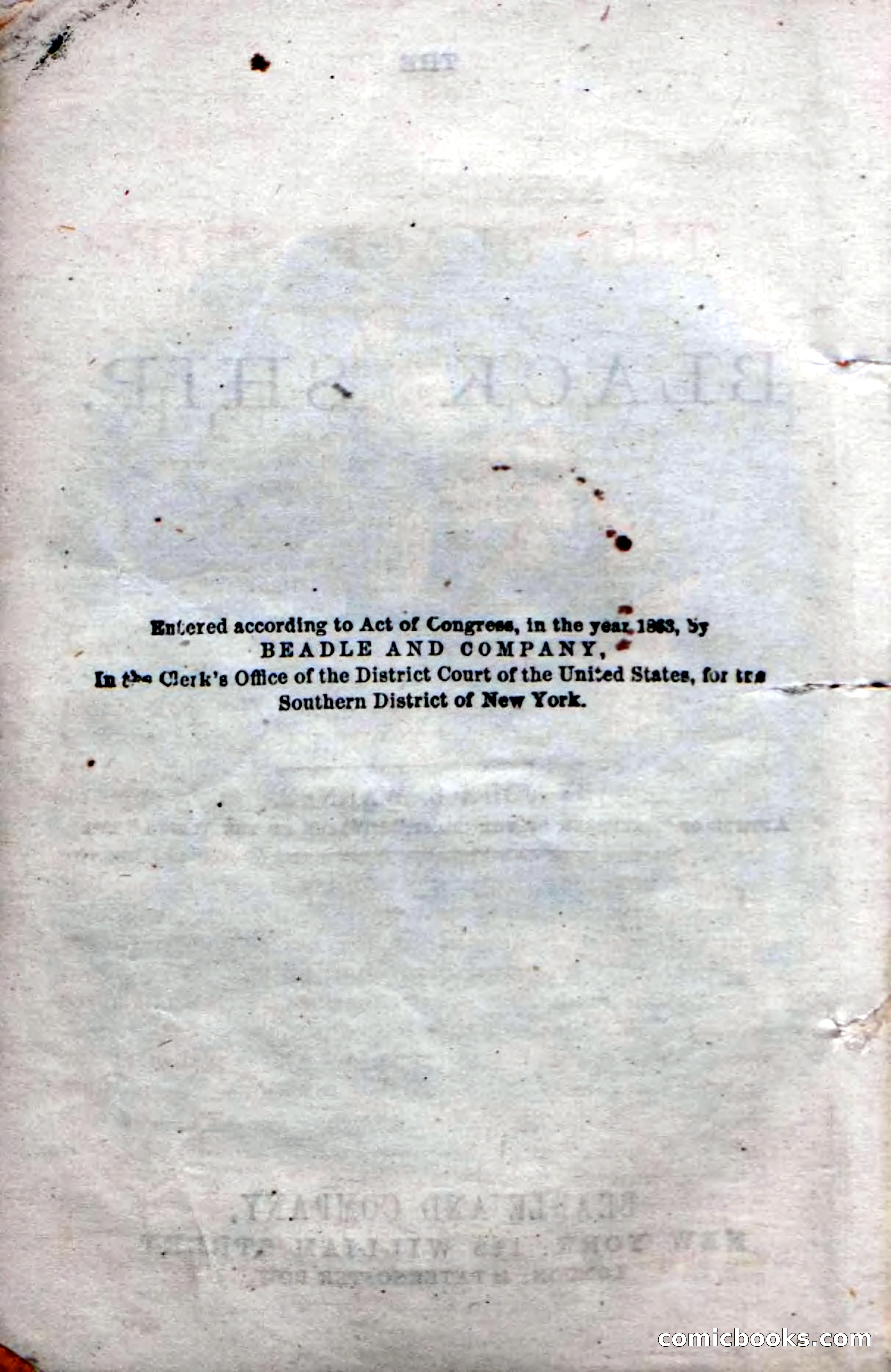 Beadle's Dime Novels No. 50: The Black Ship — page 6 of 110
