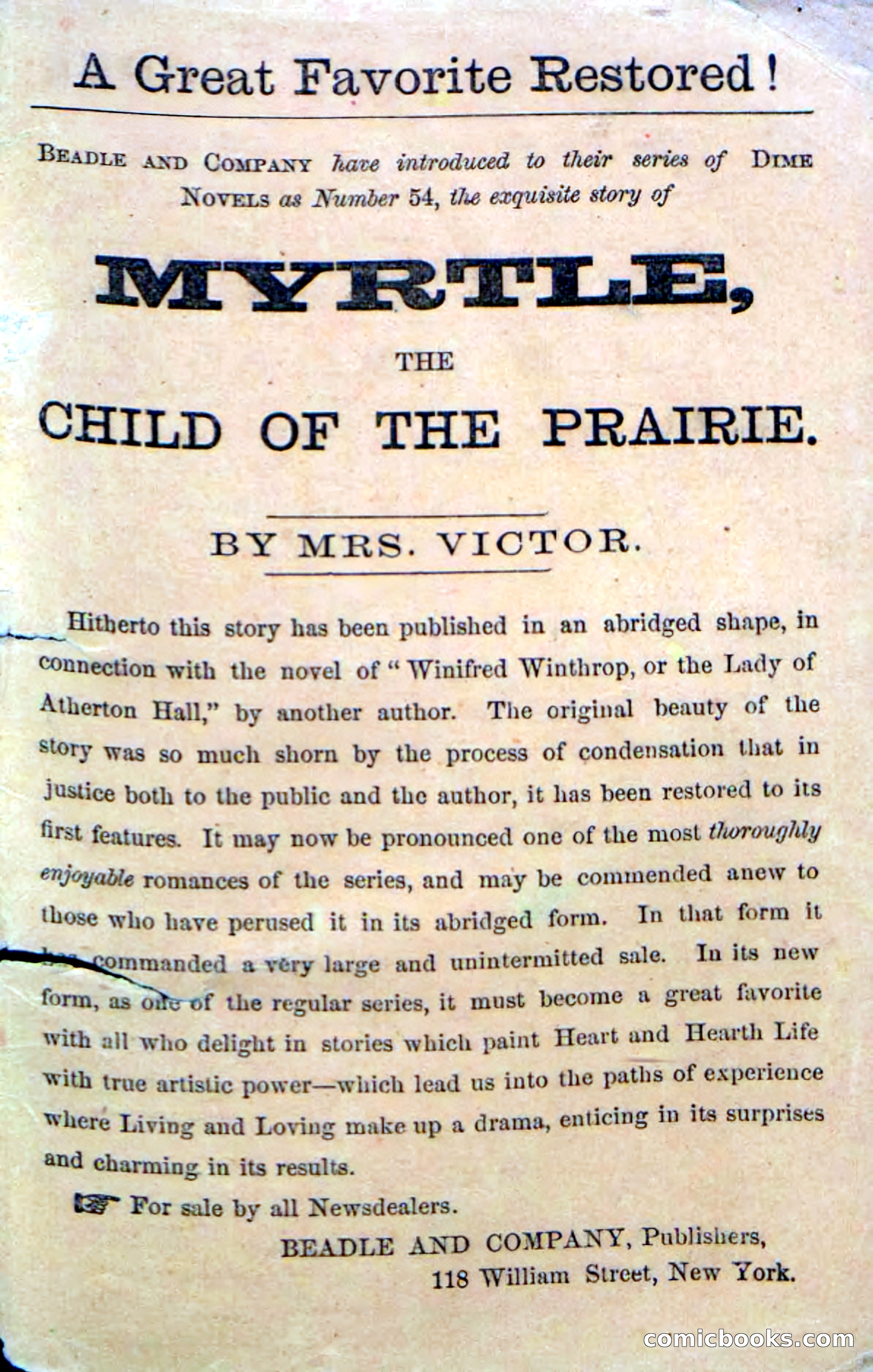Beadle's Dime Novels No. 52: Single Eye — page 131 of 132