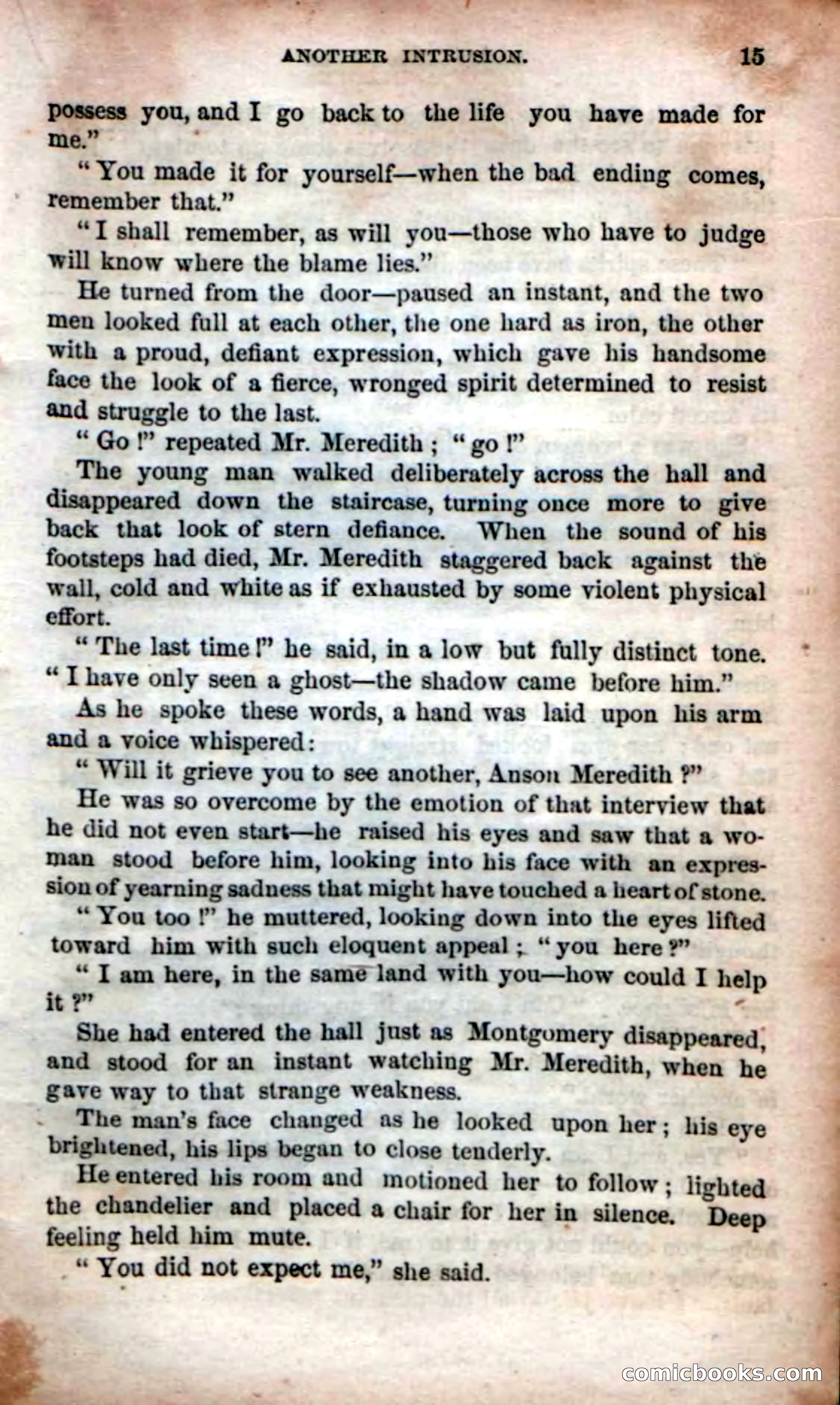 Beadle's Dime Novels No. 53: Hates and Loves — page 17 of 116