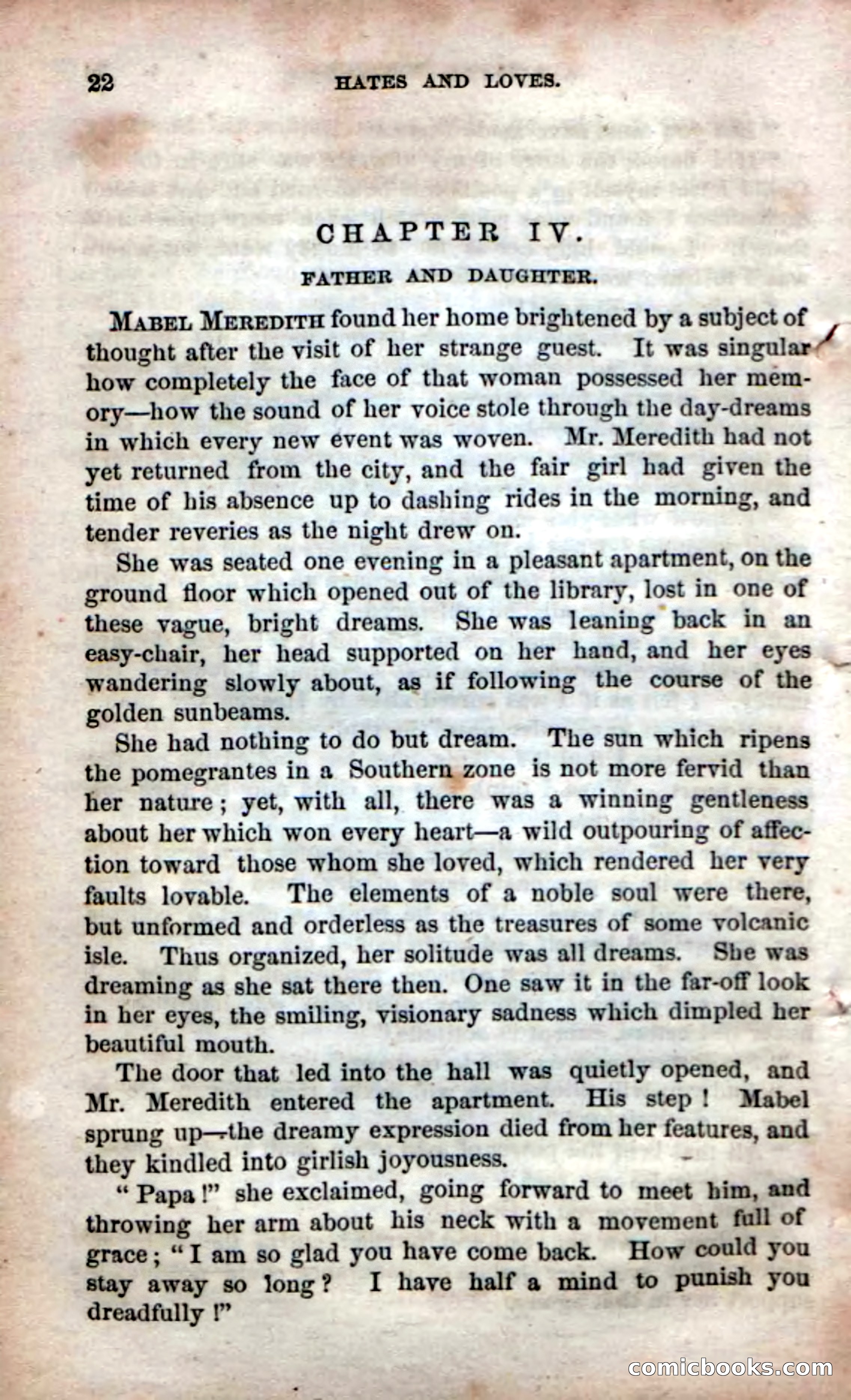 Beadle's Dime Novels No. 53: Hates and Loves — page 24 of 116