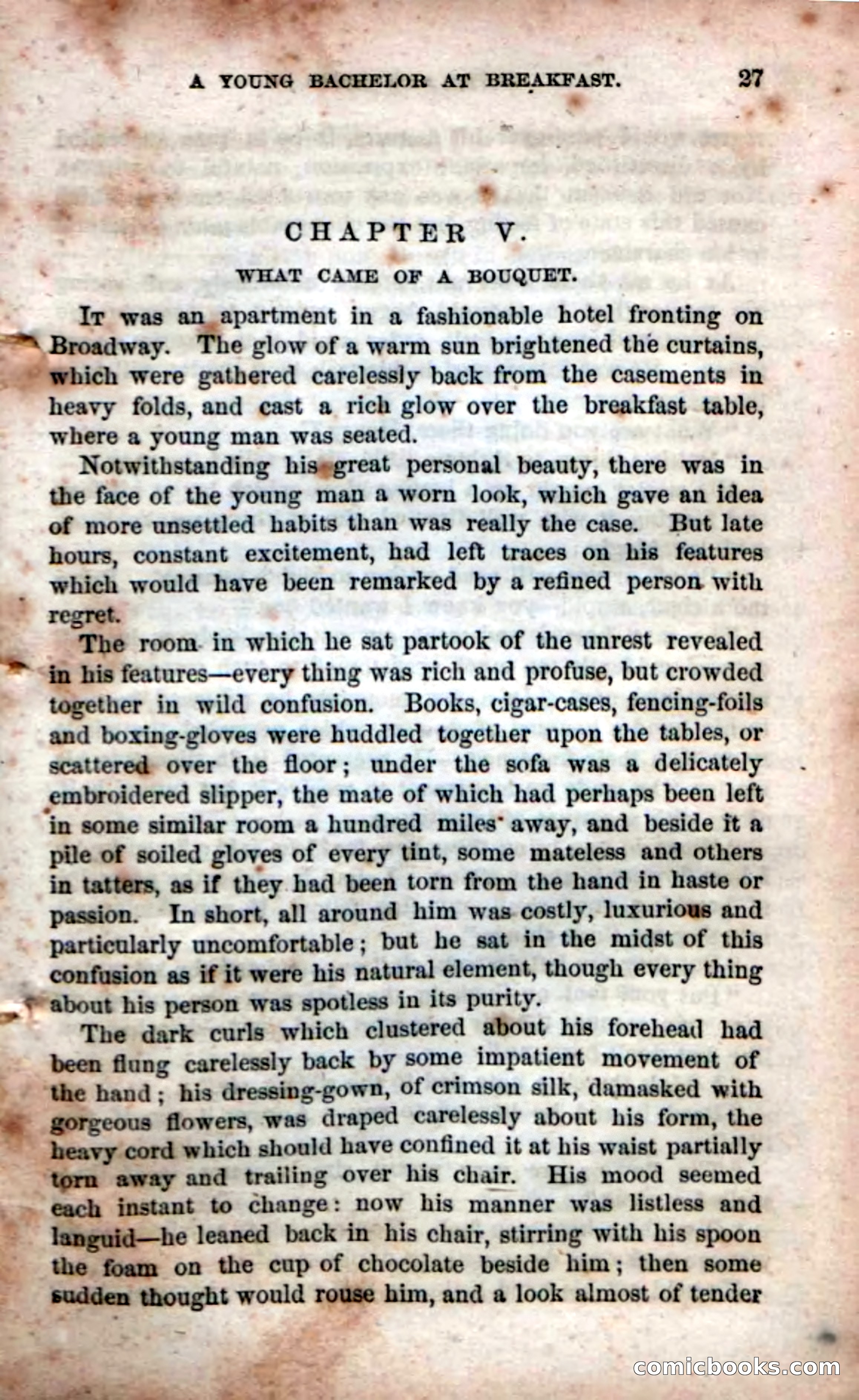 Beadle's Dime Novels No. 53: Hates and Loves — page 29 of 116