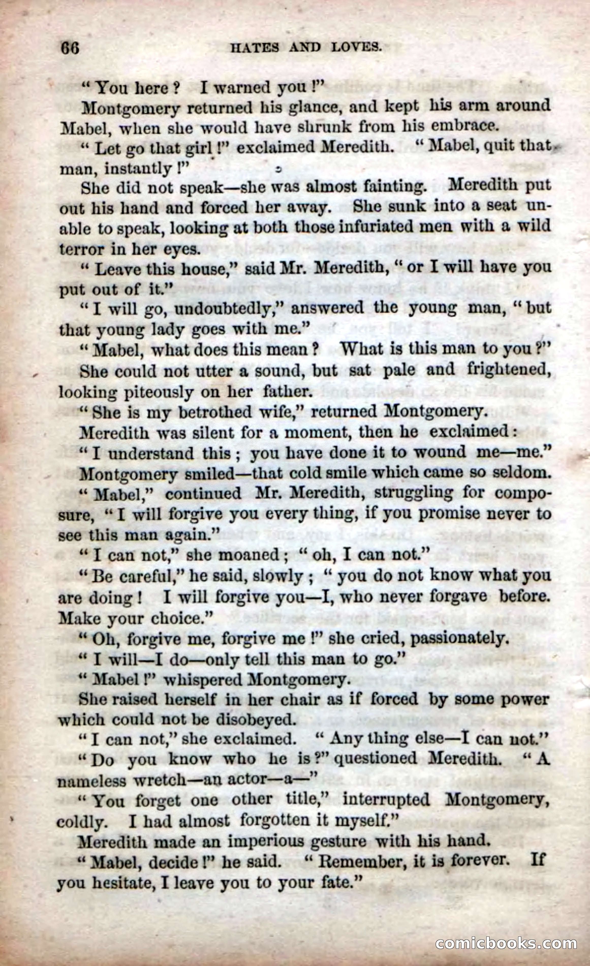 Beadle's Dime Novels No. 53: Hates and Loves — page 68 of 116
