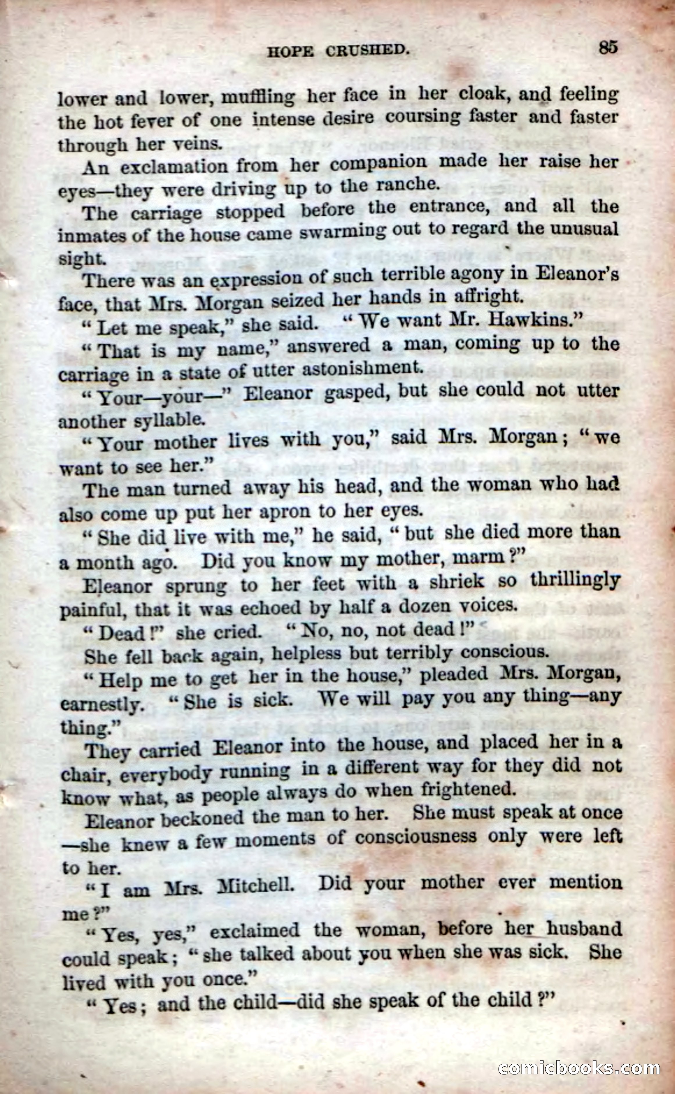 Beadle's Dime Novels No. 53: Hates and Loves — page 87 of 116