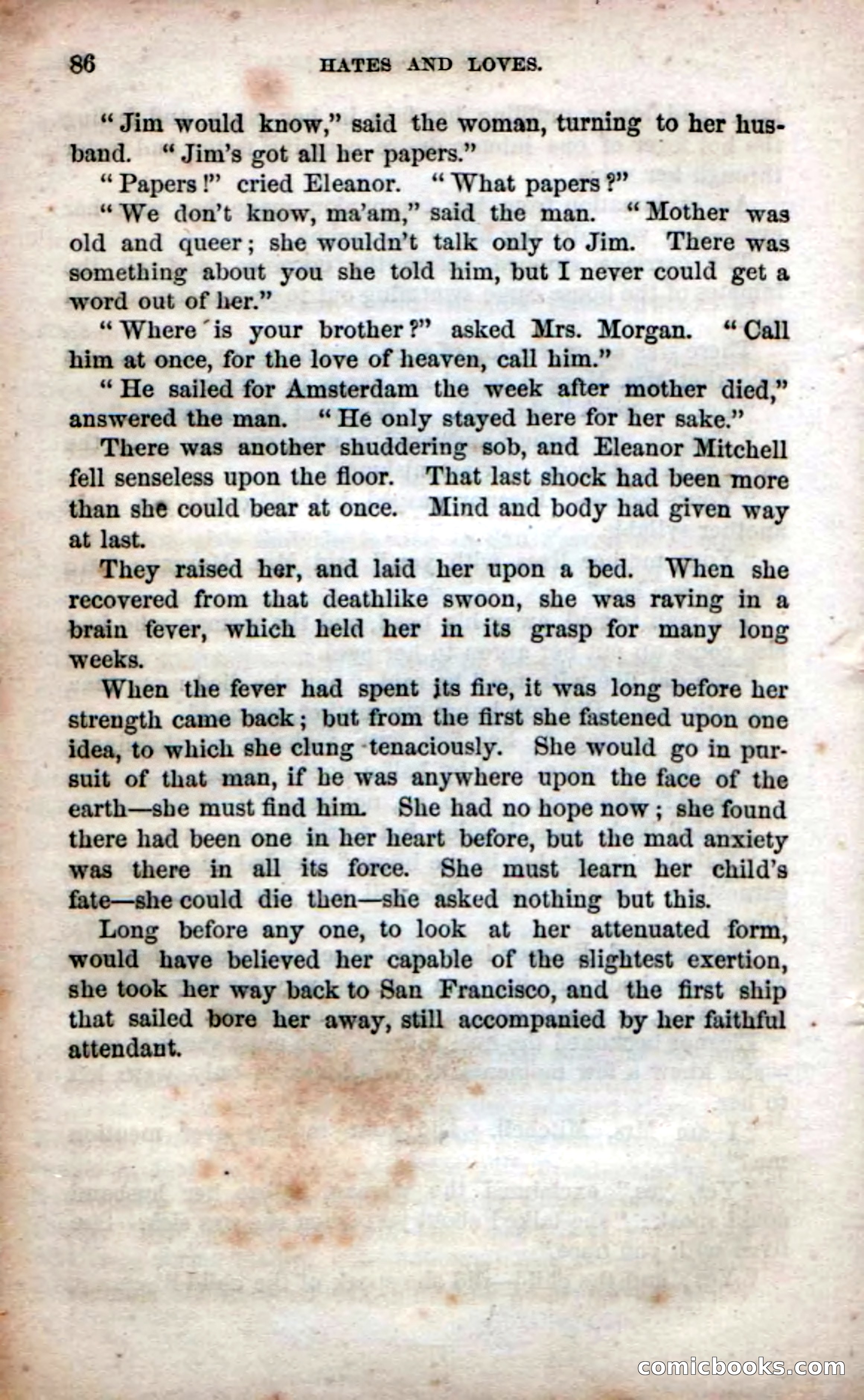 Beadle's Dime Novels No. 53: Hates and Loves — page 88 of 116