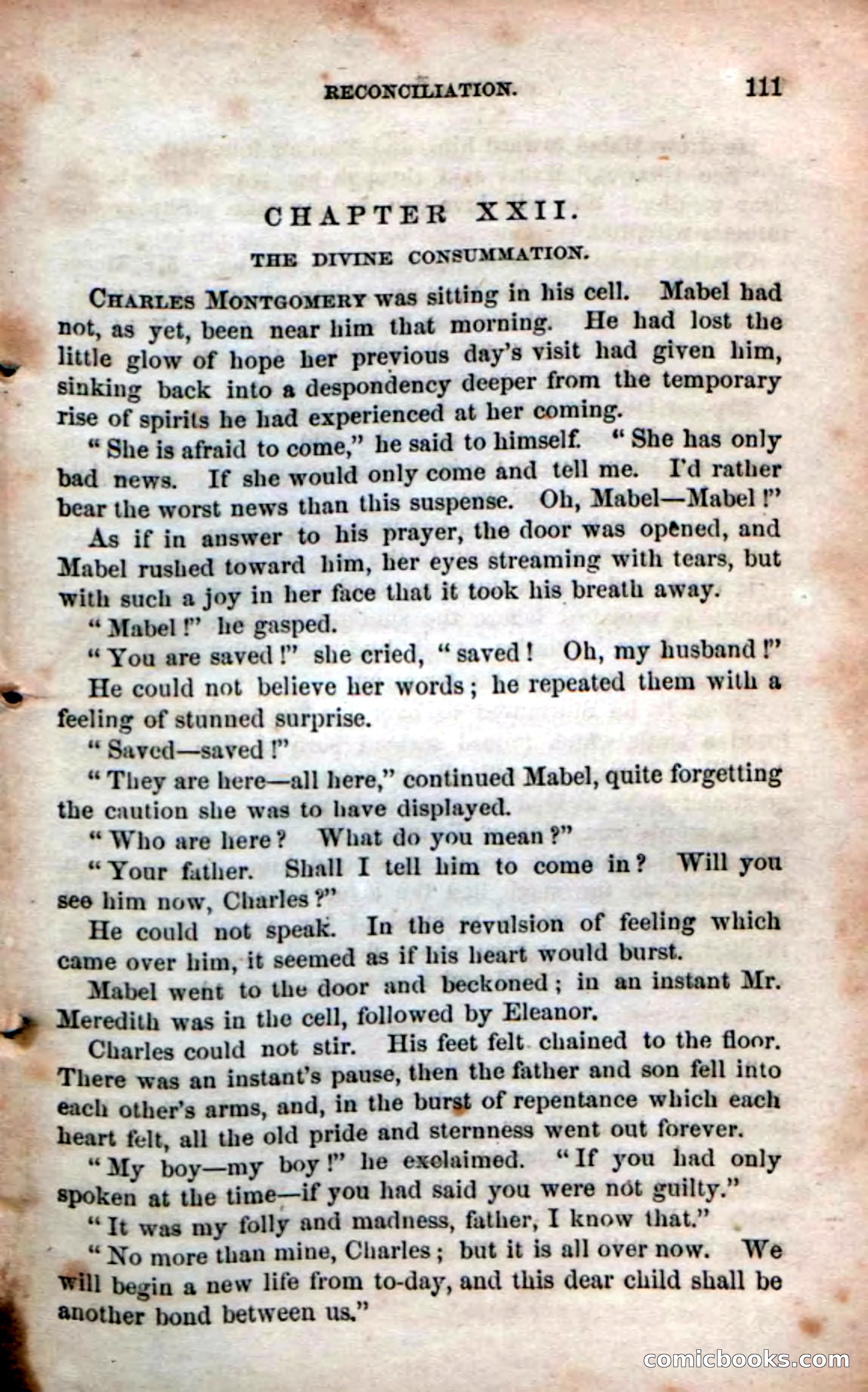 Beadle's Dime Novels No. 53: Hates and Loves — page 113 of 116