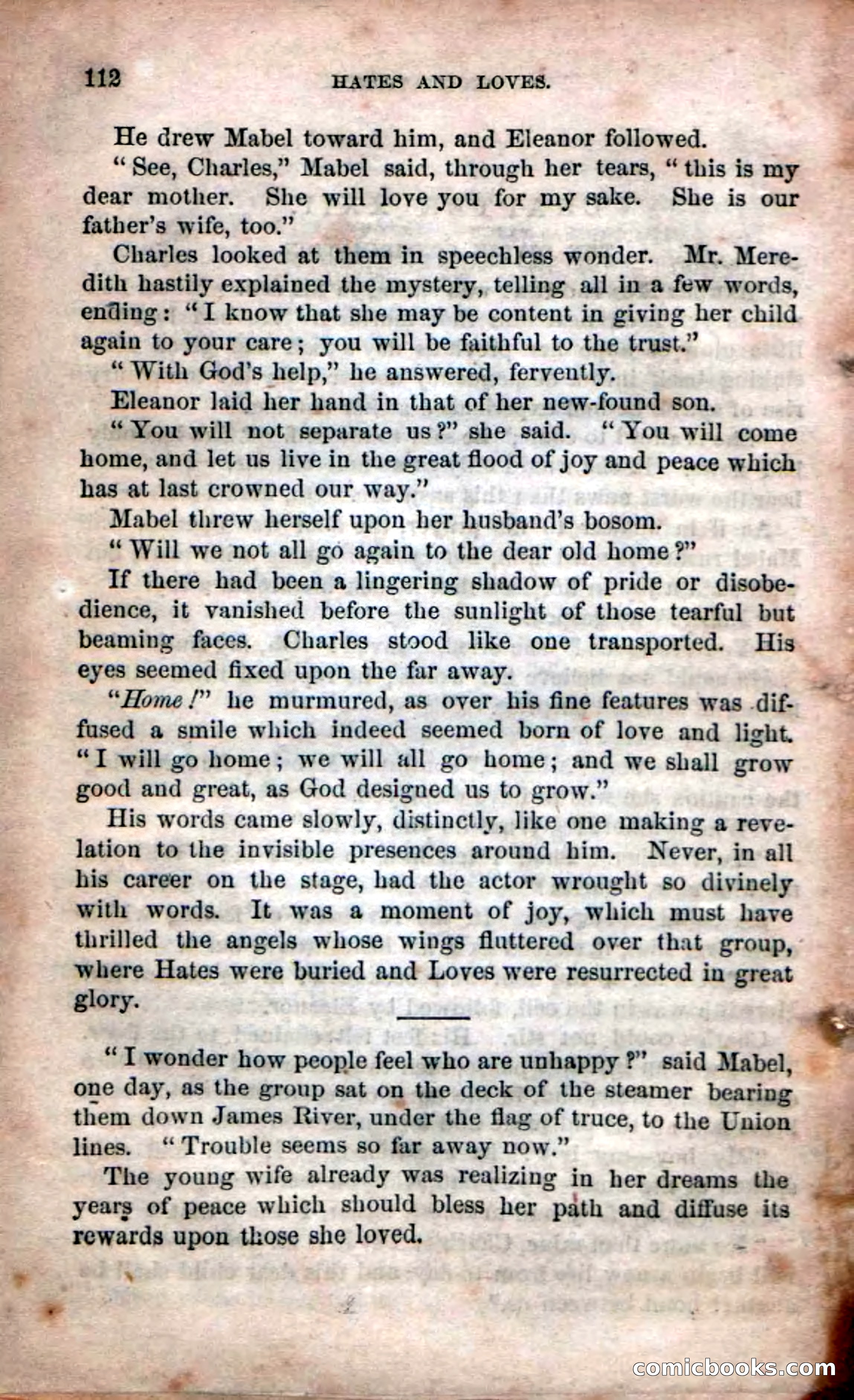 Beadle's Dime Novels No. 53: Hates and Loves — page 114 of 116