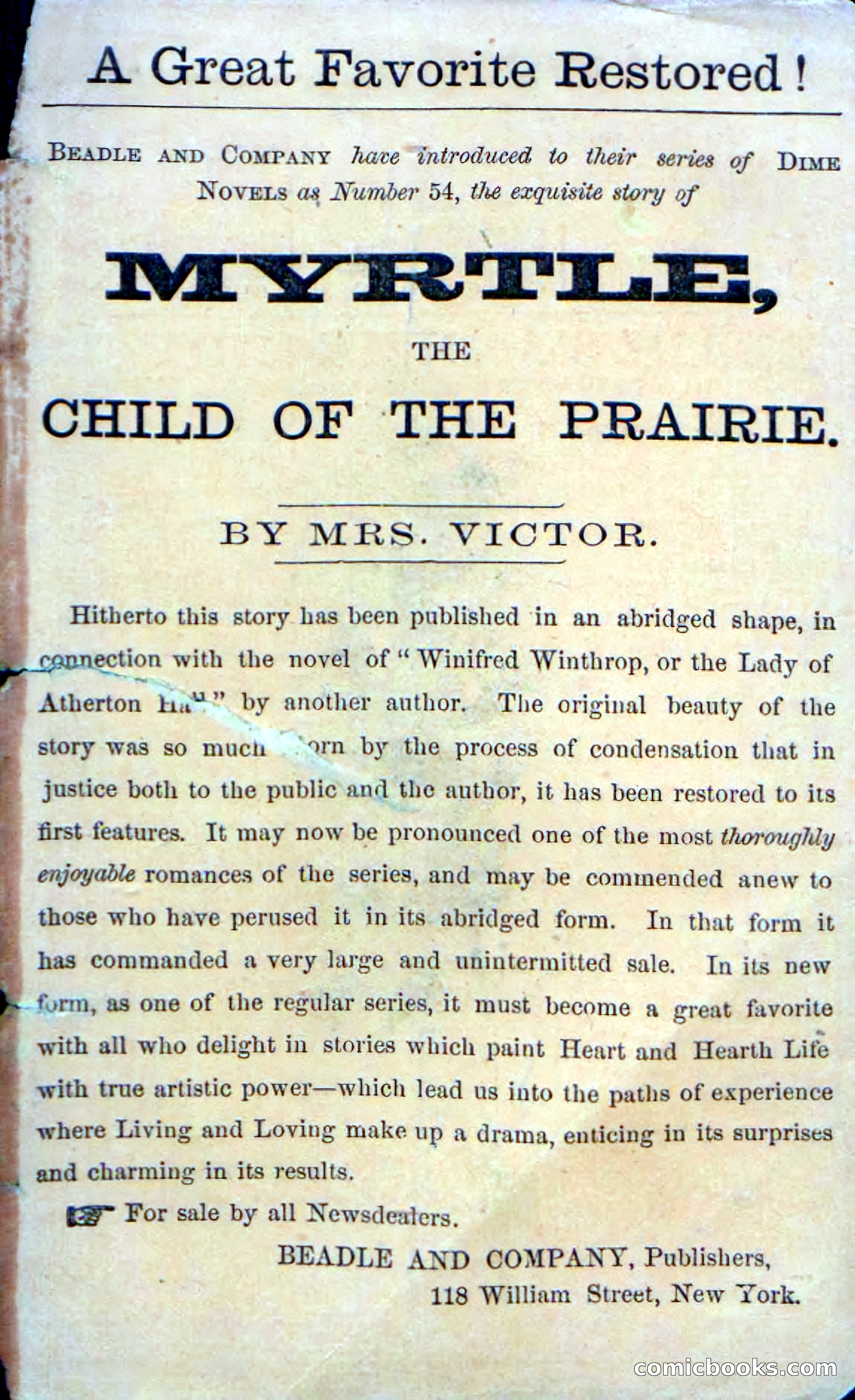 Beadle's Dime Novels No. 53: Hates and Loves — page 115 of 116