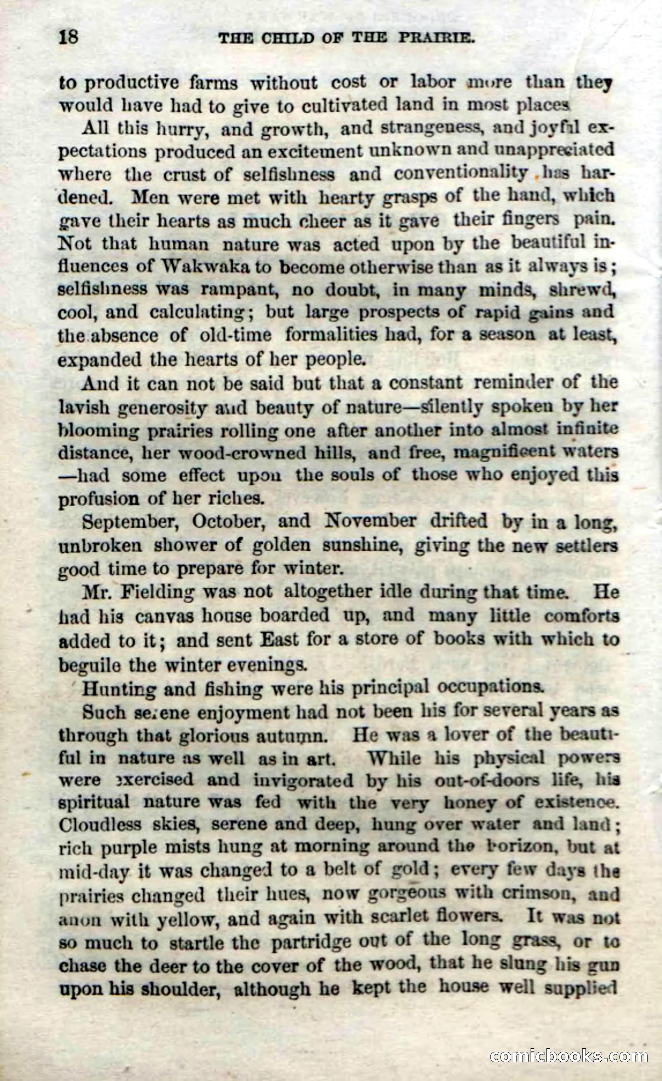 Beadle's Dime Novels No. 54: Myrtle, the Child of the Prairie — page 20 of 100