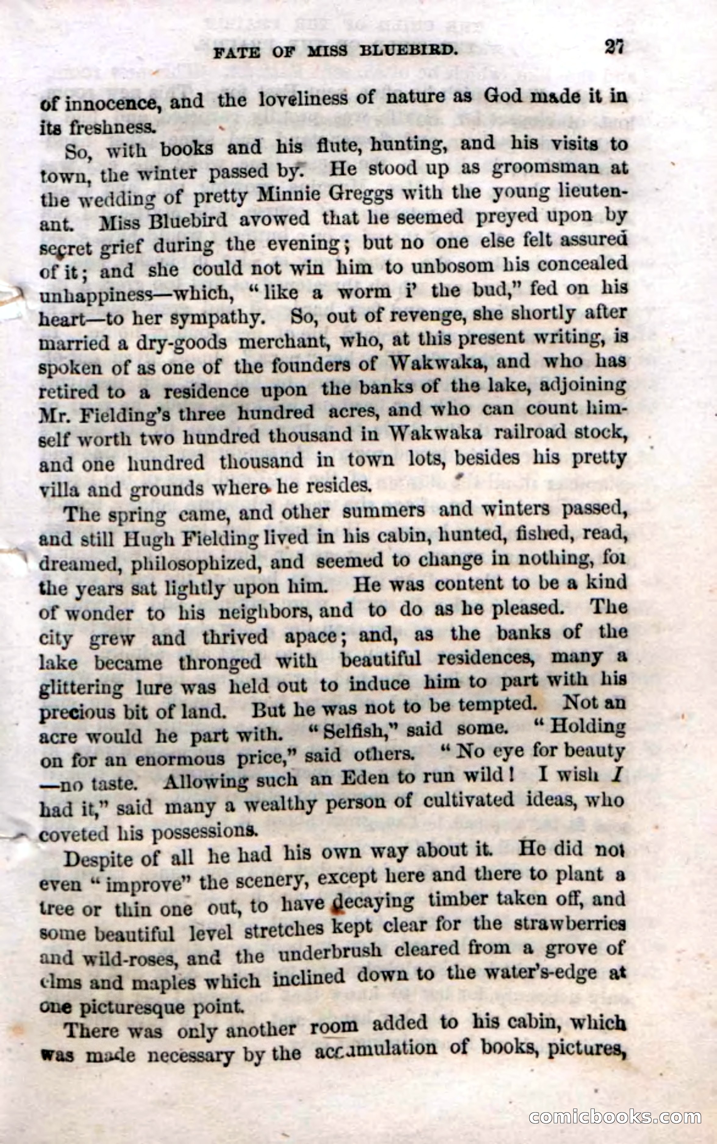 Beadle's Dime Novels No. 54: Myrtle, the Child of the Prairie — page 29 of 100