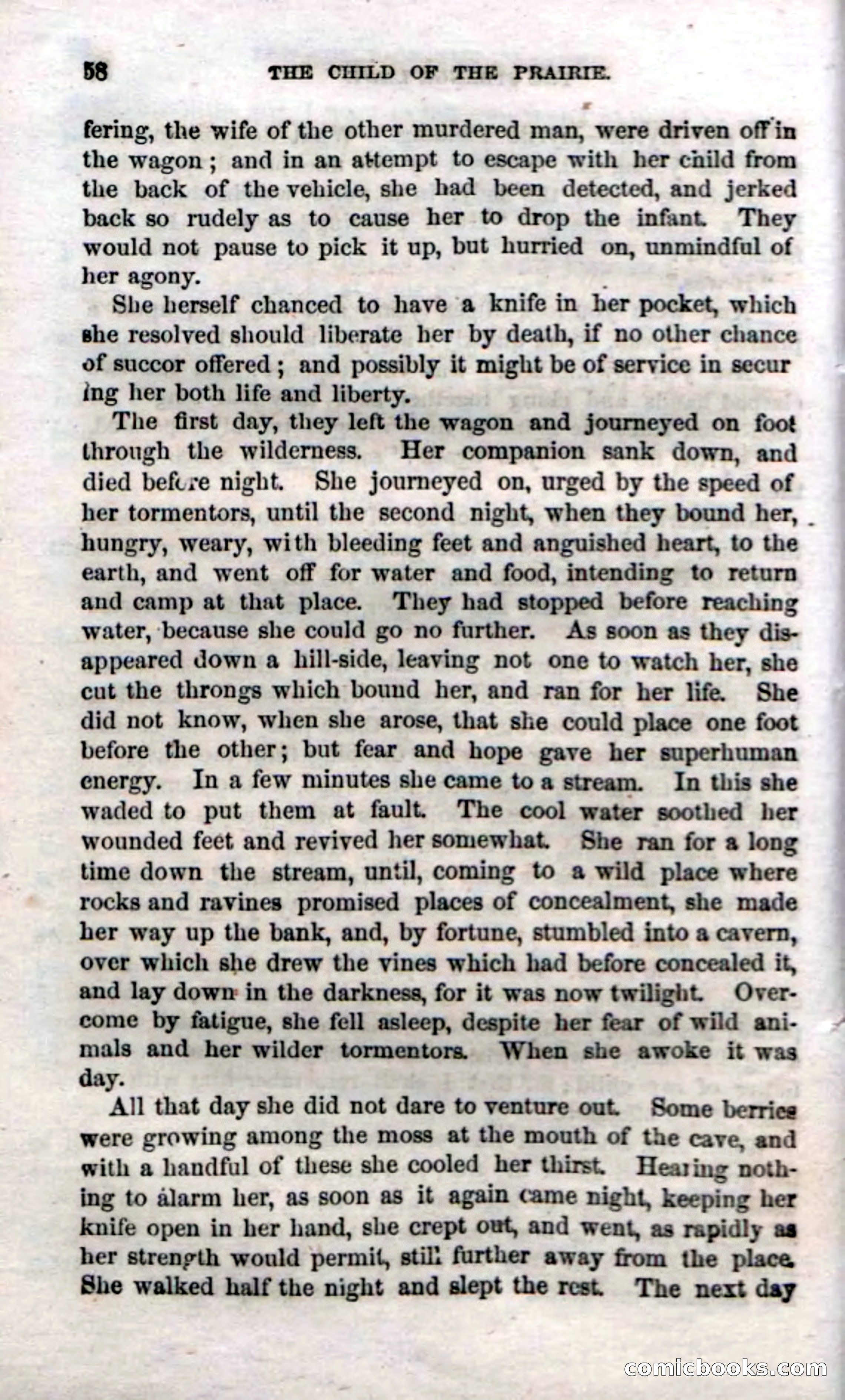 Beadle's Dime Novels No. 54: Myrtle, the Child of the Prairie — page 60 of 100