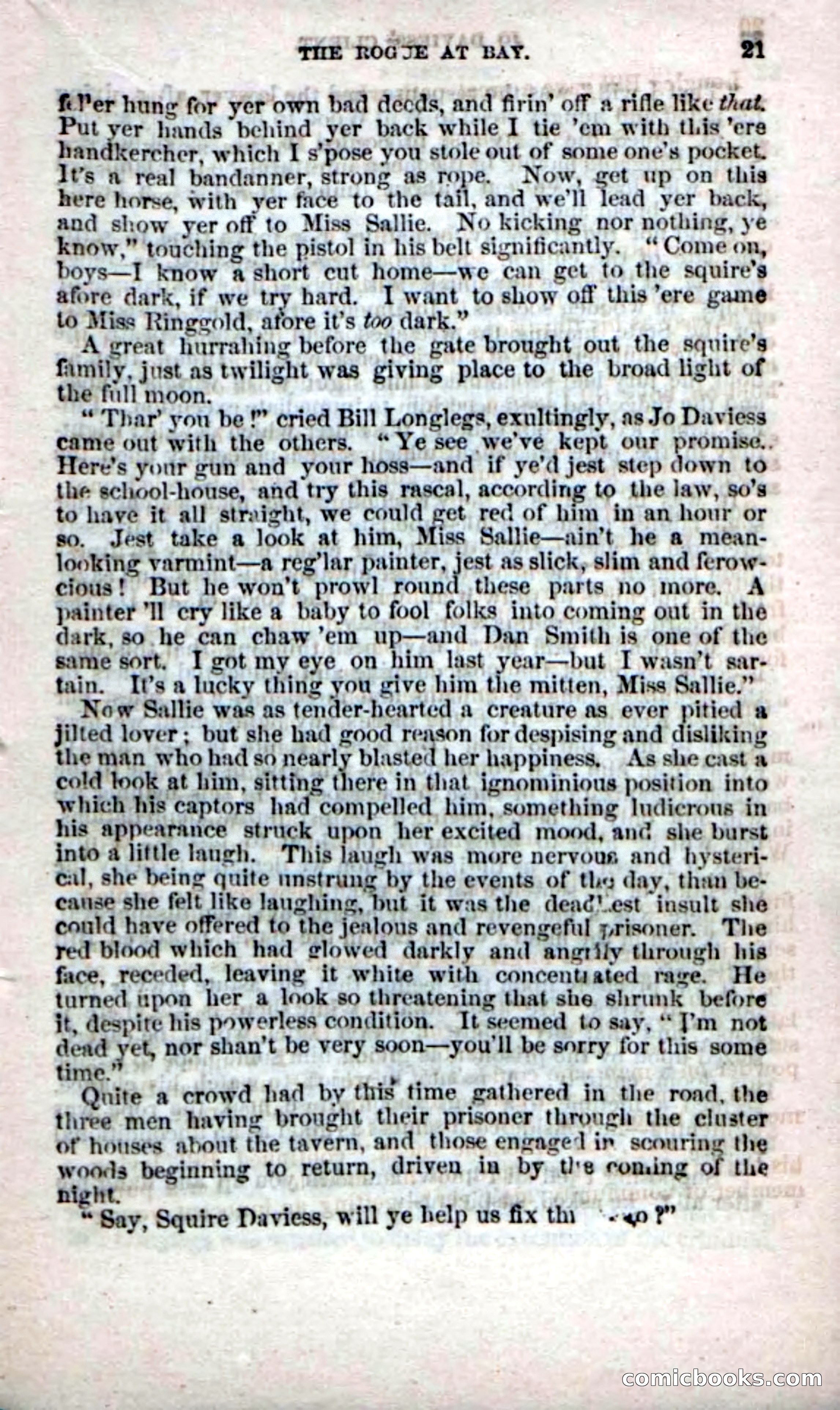 Beadle's Dime Novels No. 60 — page 19 of 100