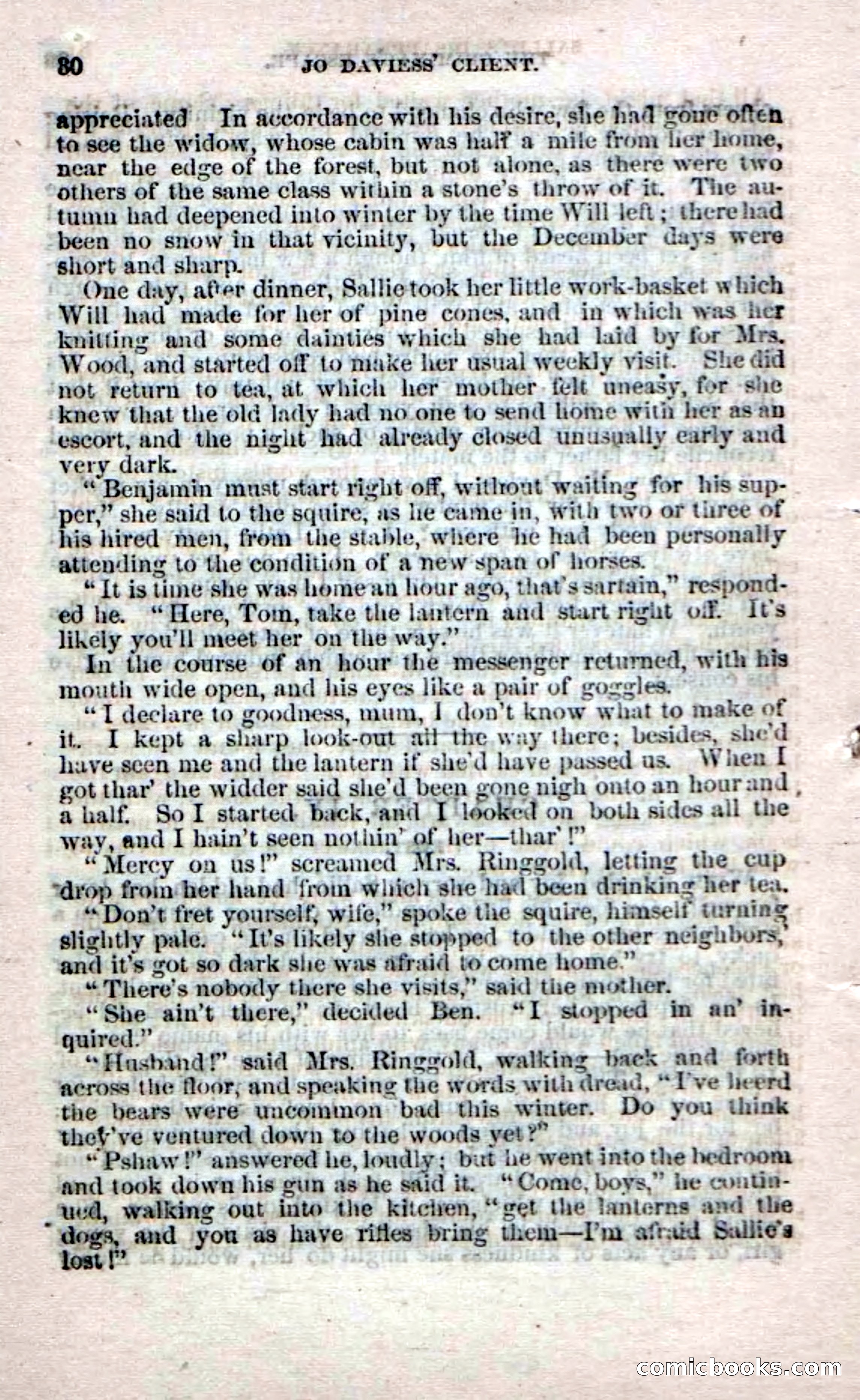 Beadle's Dime Novels No. 60 — page 28 of 100