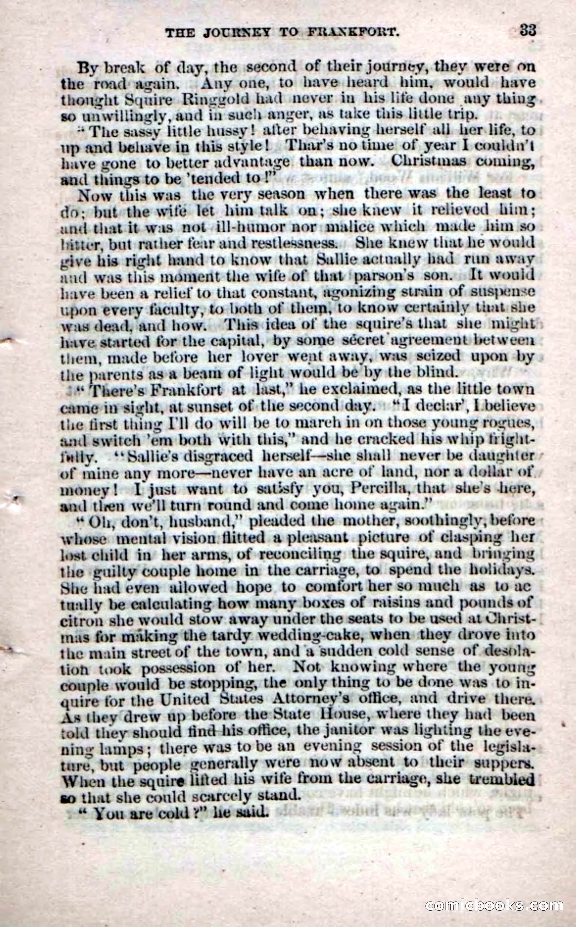 Beadle's Dime Novels No. 60 — page 31 of 100