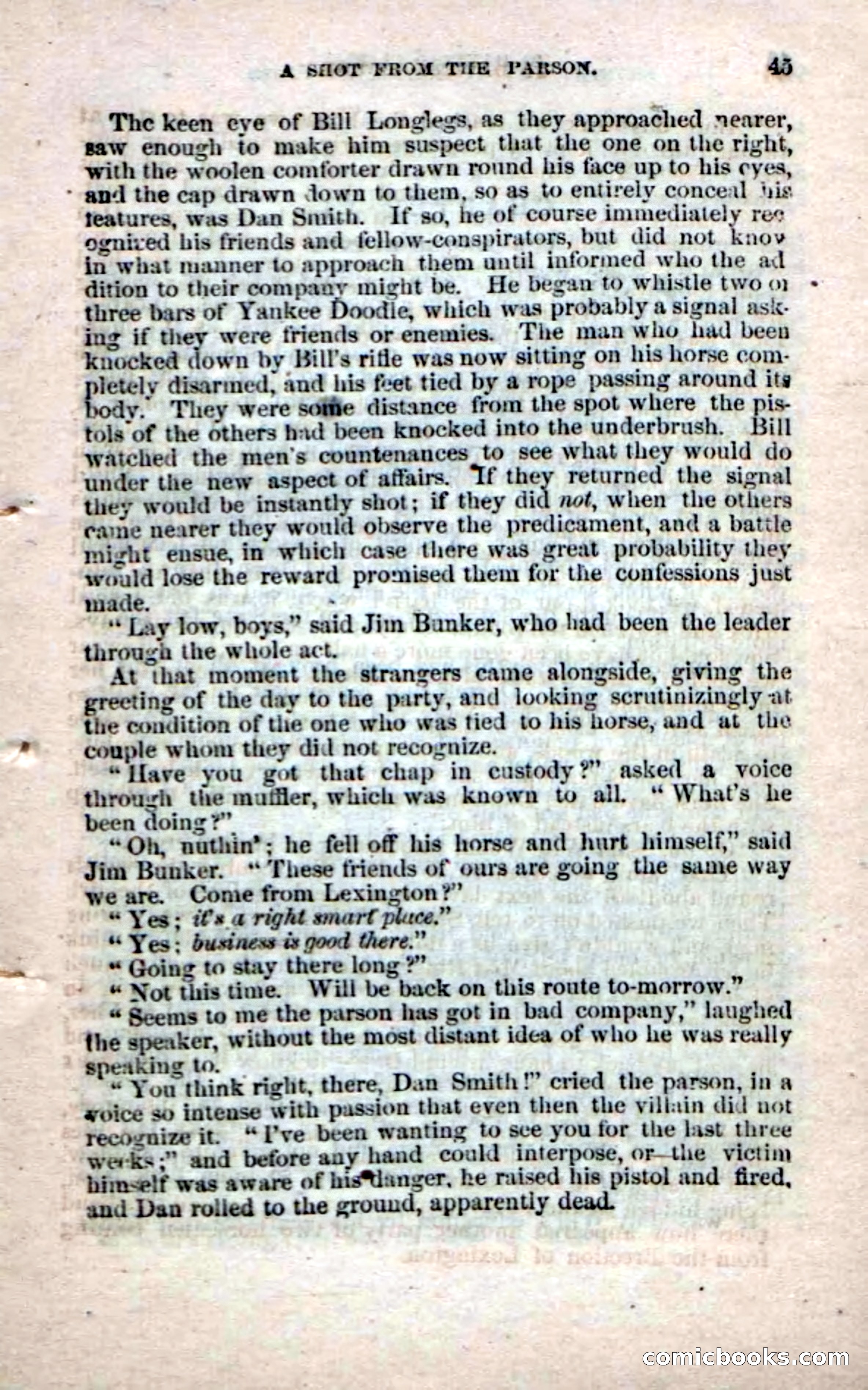 Beadle's Dime Novels No. 60 — page 43 of 100