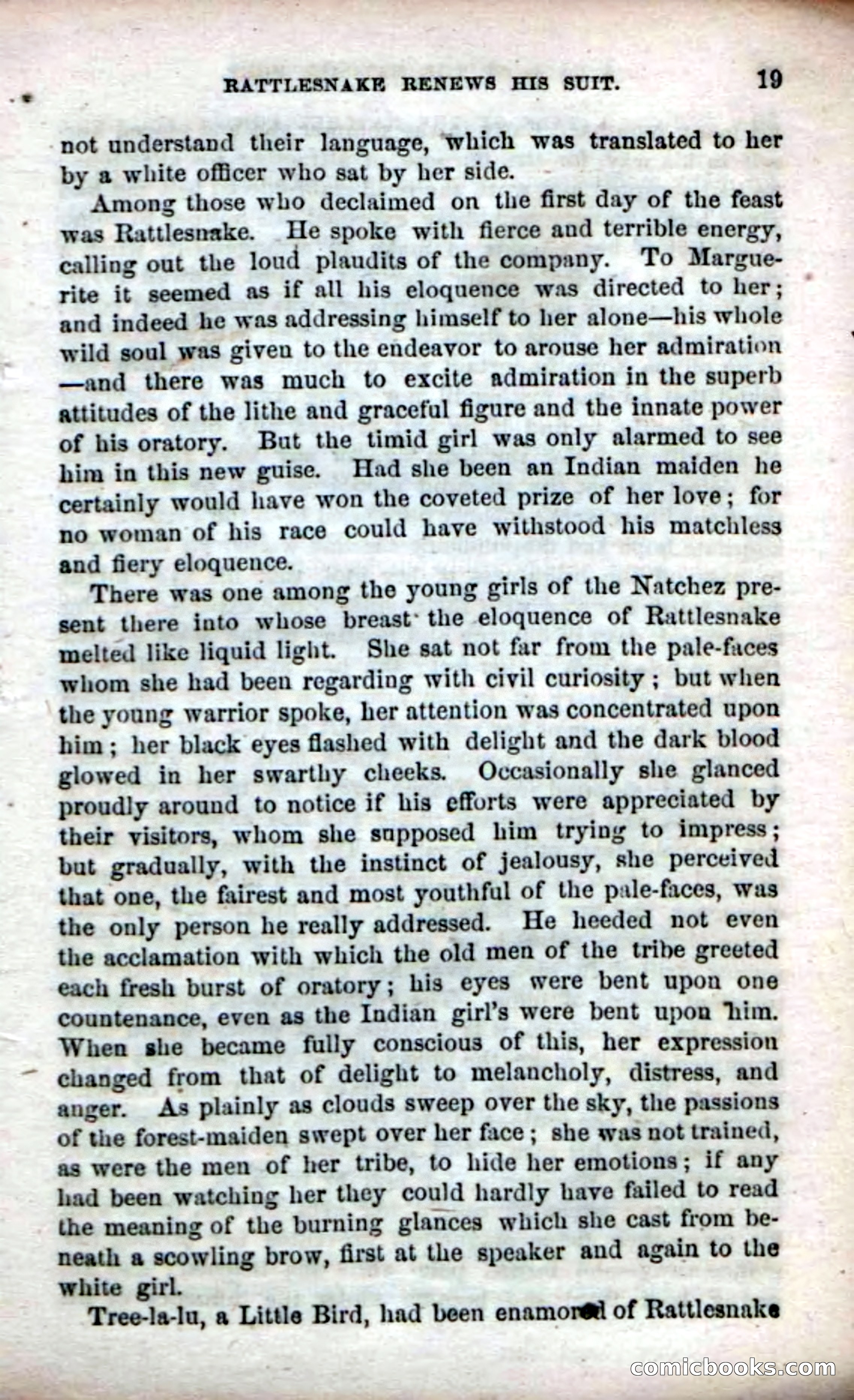 Beadle's Dime Novels No. 61: Laughing Eyes — page 21 of 100