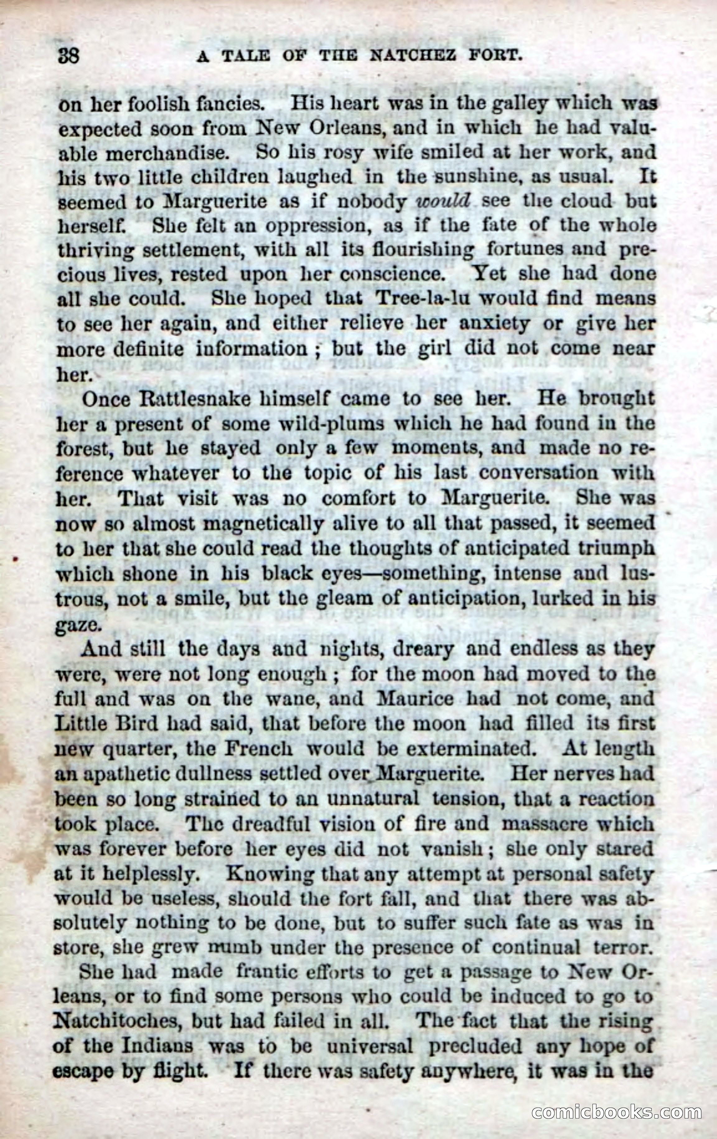 Beadle's Dime Novels No. 61: Laughing Eyes — page 40 of 100