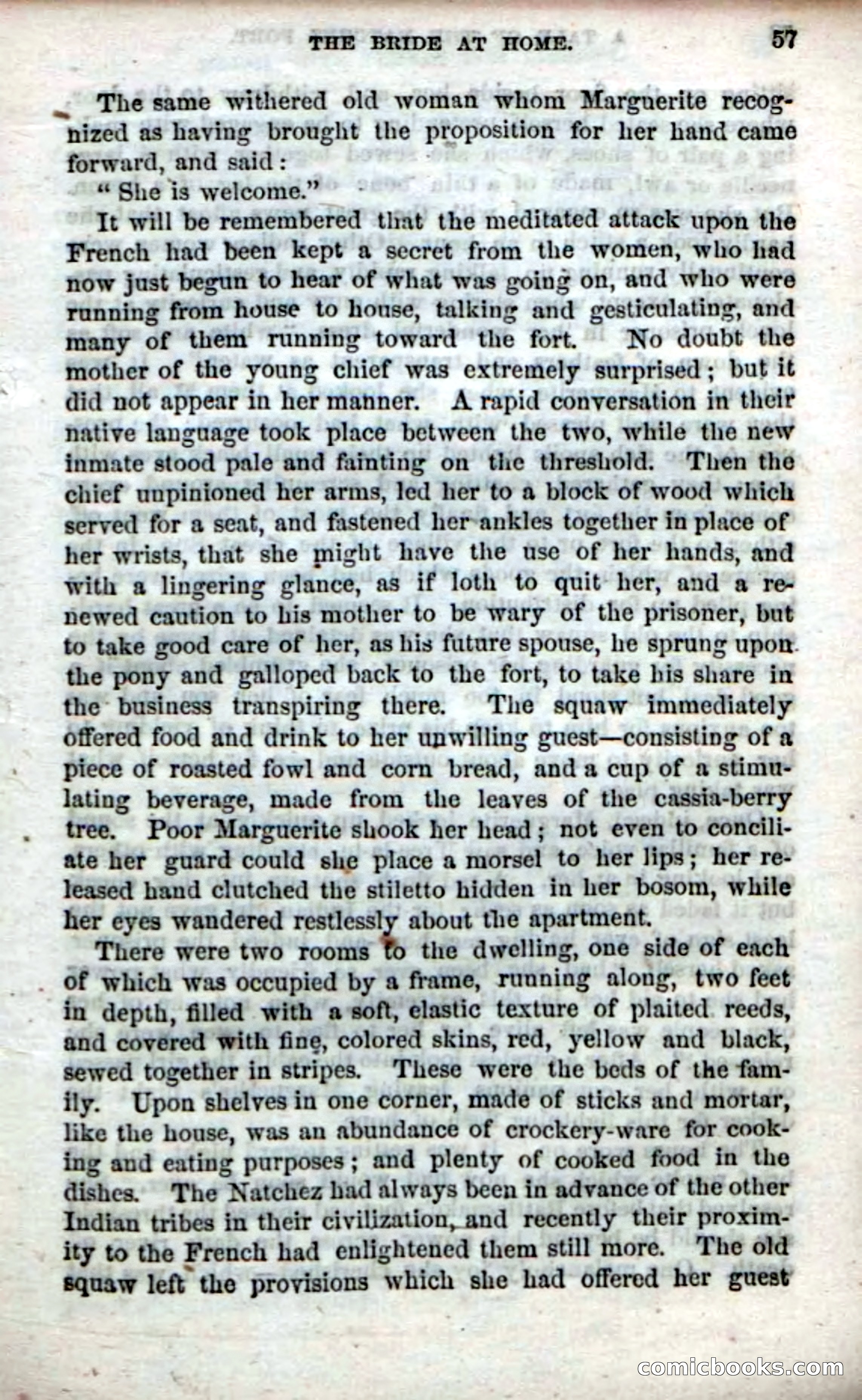 Beadle's Dime Novels No. 61: Laughing Eyes — page 59 of 100