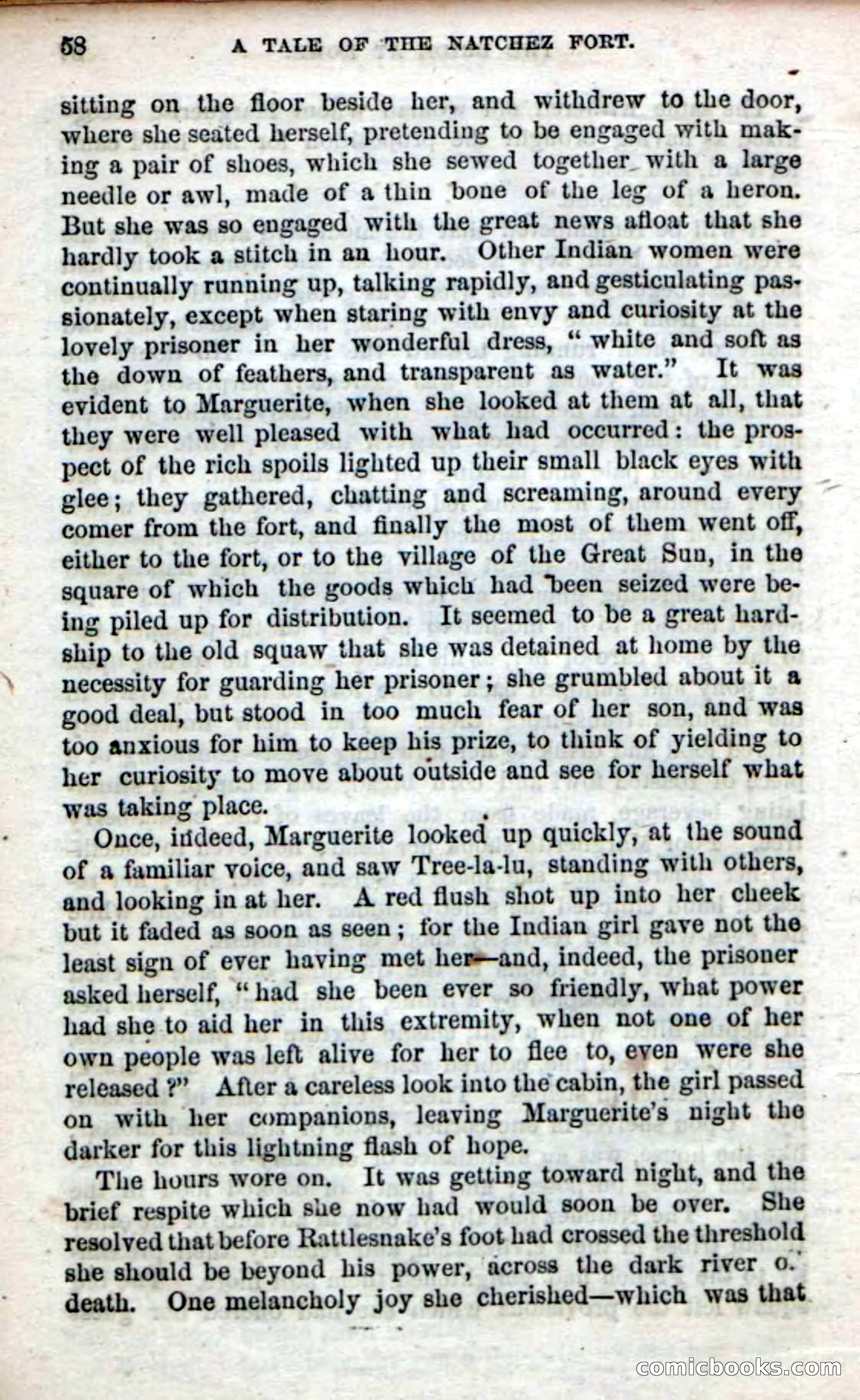 Beadle's Dime Novels No. 61: Laughing Eyes — page 60 of 100