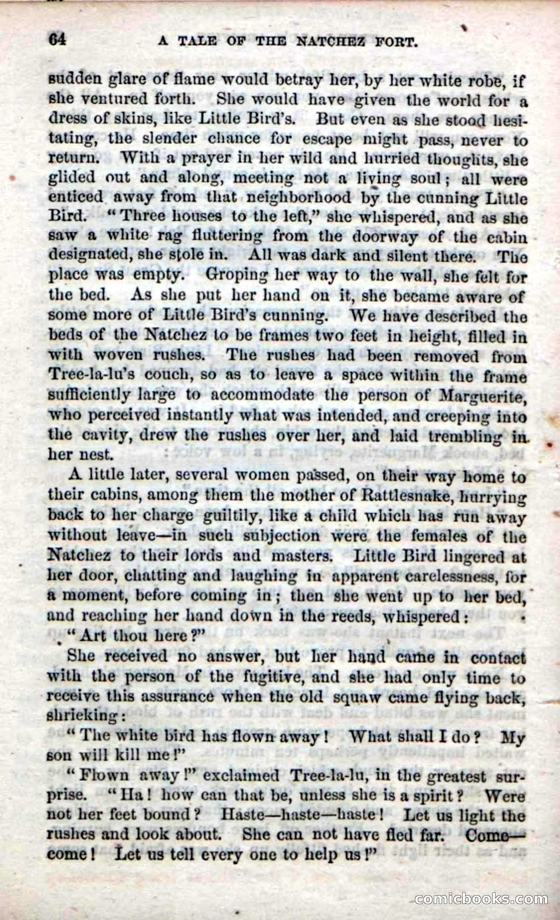 Beadle's Dime Novels No. 61: Laughing Eyes — page 66 of 100