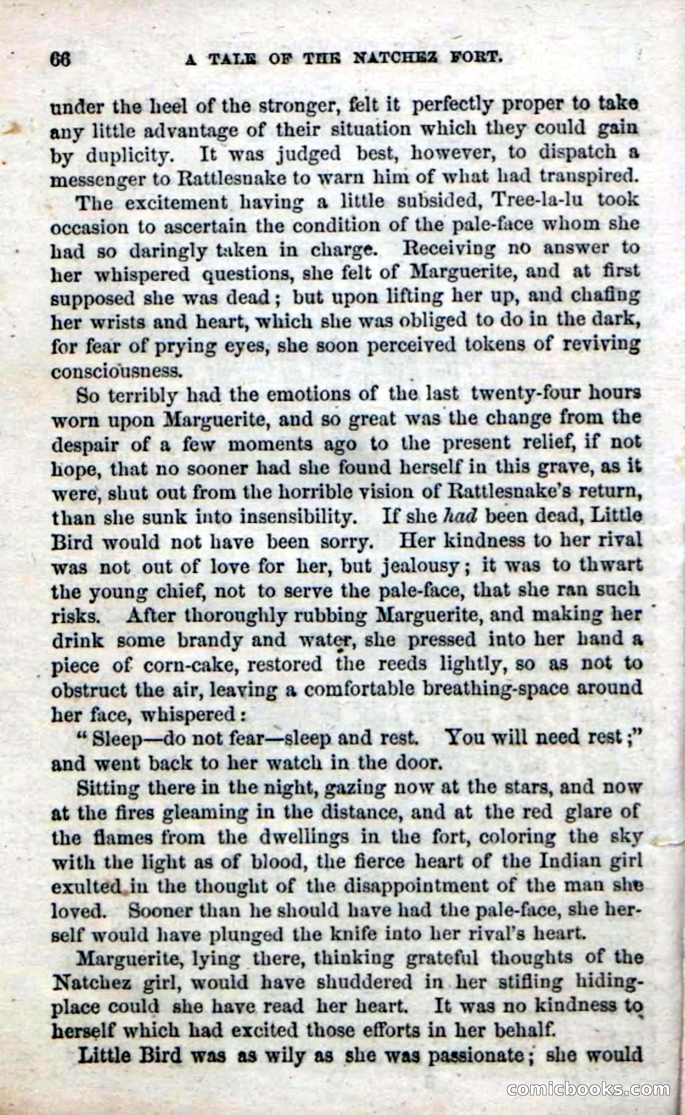 Beadle's Dime Novels No. 61: Laughing Eyes — page 68 of 100